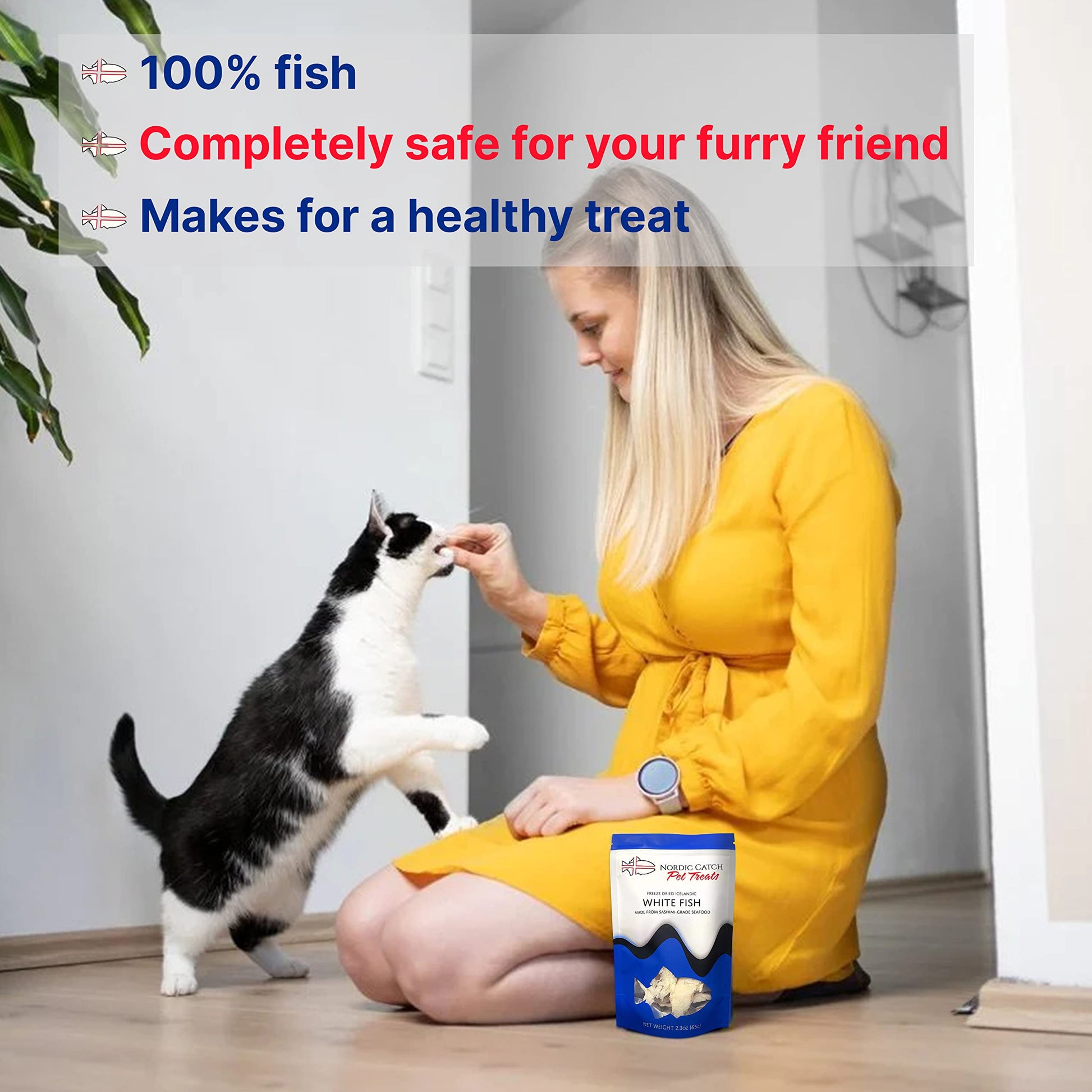 Nordic Catch Freeze Dried Fish Pet Treats from Iceland - Pure, All Natural Seafood Snacks for Dogs, Cats and Other Pets - Human Safe Ingredients, Made from Sashimi Grade Seafood - White Fish Nordic Catch buy supplements canada