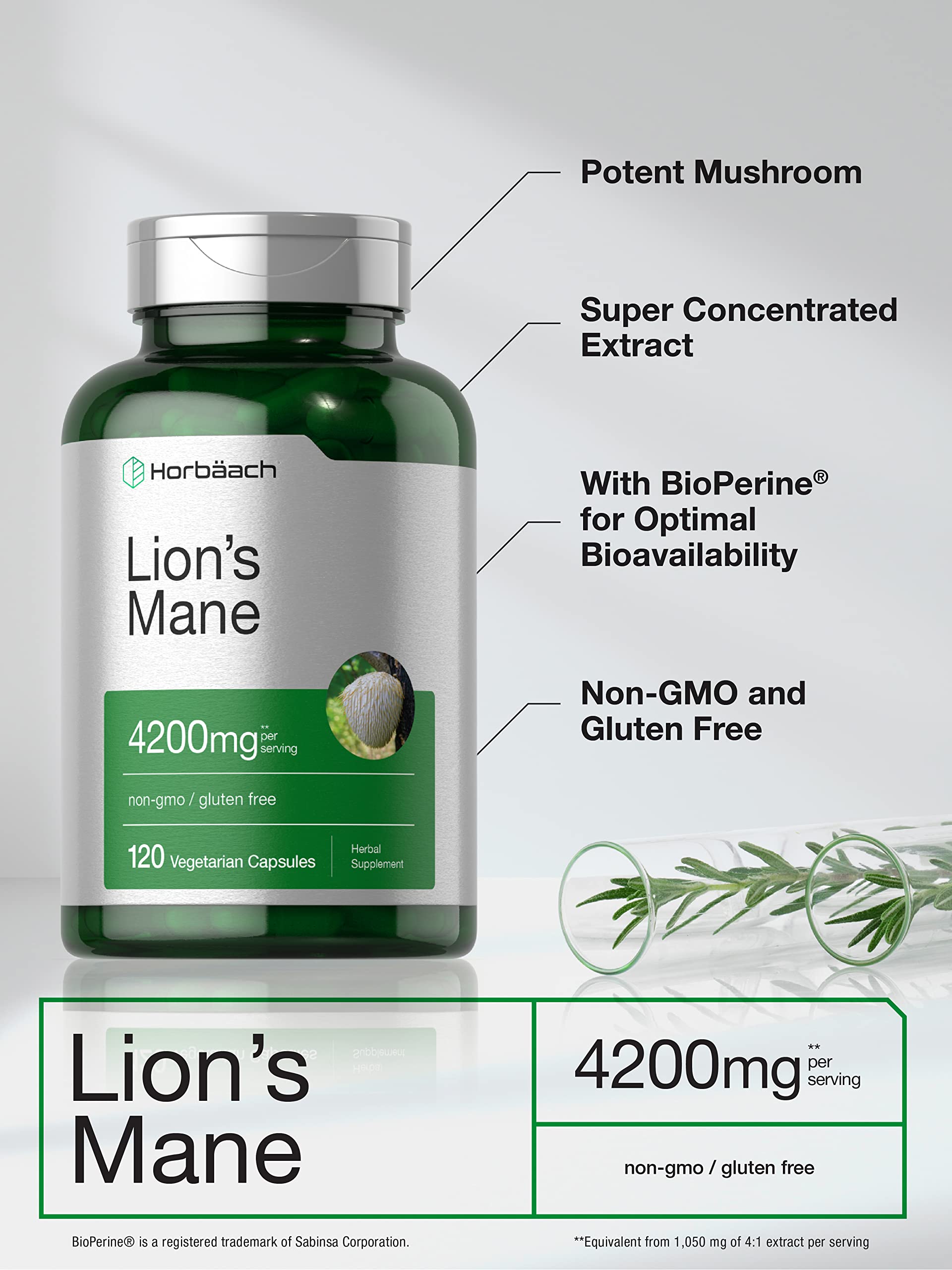 Horbäach Lions Mane Mushroom Extract | 4200mg | 120 Capsules | Vegetarian Horbäach buy supplements canada