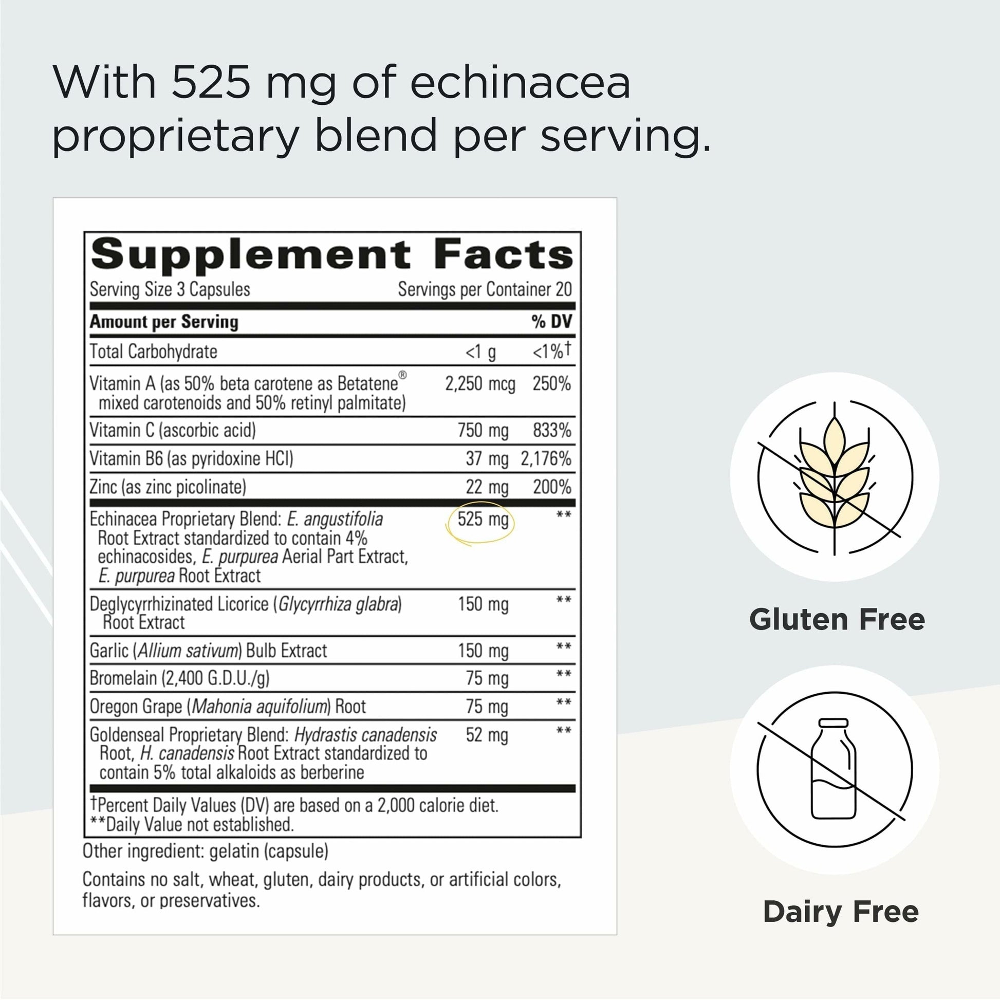 Integrative Therapeutics EHB - Immune Support Supplement with Vitamins A, C & B6* - Mineral Support with Zinc - Dairy-Free & Gluten-Free - 60 Capsules (20 Servings) Integrative Therapeutics buy supplements canada