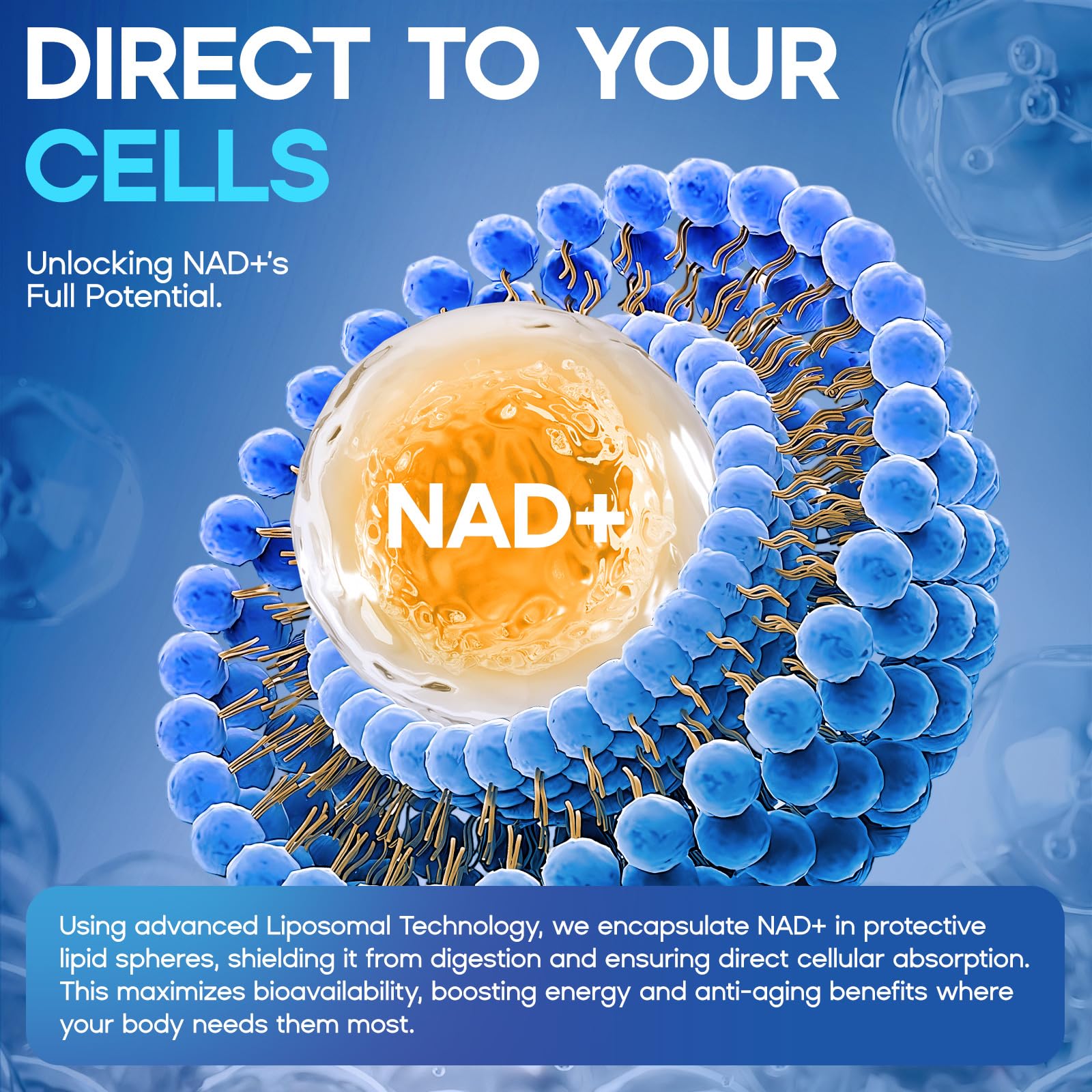Liposomal NAD Liquid Supplement - 1500mg NAD+ Drops for Women & Men with Resveratrol & Nicotinamide Riboside, PQQ, Collagen & Turmeric for Anti-Aging & Longevity, Cellular Energy Health, 2 Fl Oz loiomay buy supplements canada
