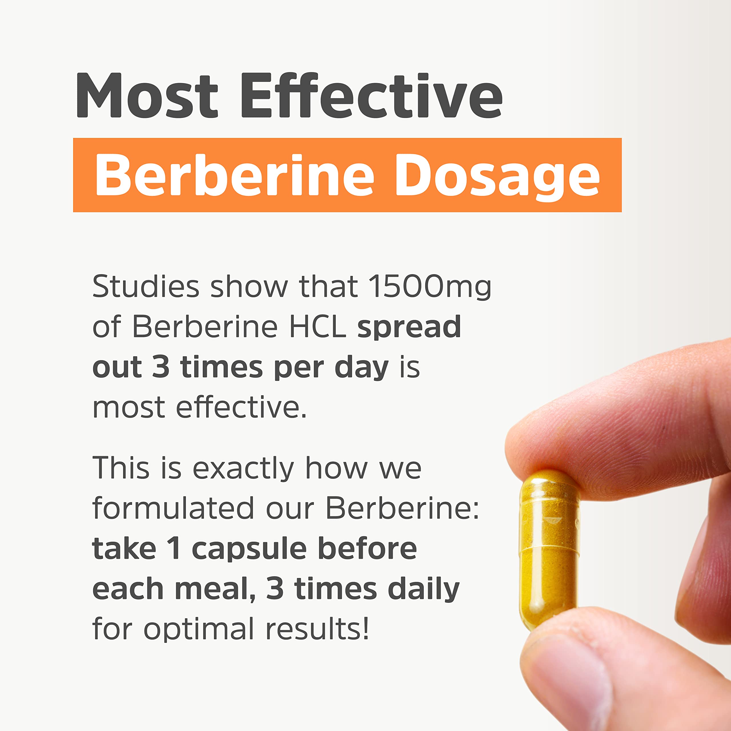 Clean Label Berberine Supplement 1500mg - Ultra Pure 98% Berberine HCl, Highest Purity Physician's Healthy Alternatives buy supplements canada