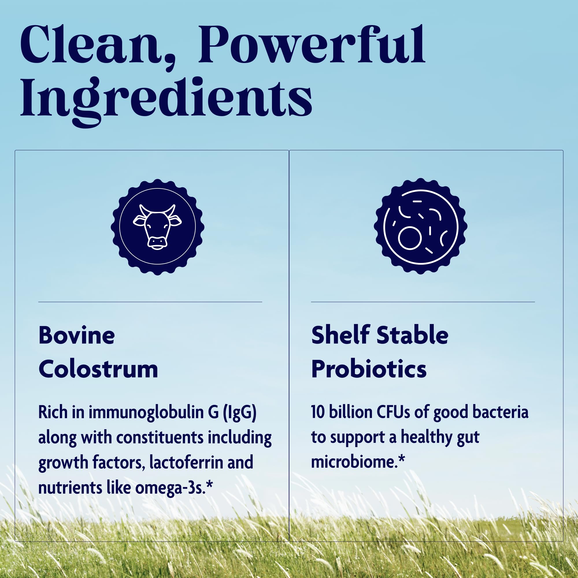 Enzymedica Colostrum + Probiotics Powder Supplement - Grass Fed Bovine Colostrum for Women & Men, Peptide & Lactoferrin Support, Promotes Hair, Skin, Nails, Immune & Gut Health, Gluten Free - 3.25 oz Enzymedica buy supplements canada