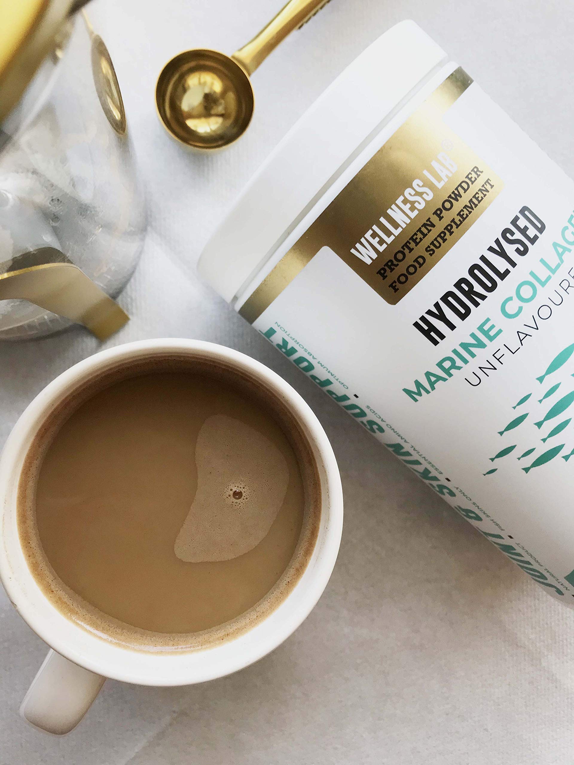 Cleanest Marine Collagen Peptides | Wellness Lab 454g | Type I,III | Highest Bioavailability Hydrolysed Protein Wellness Lab buy supplements canada