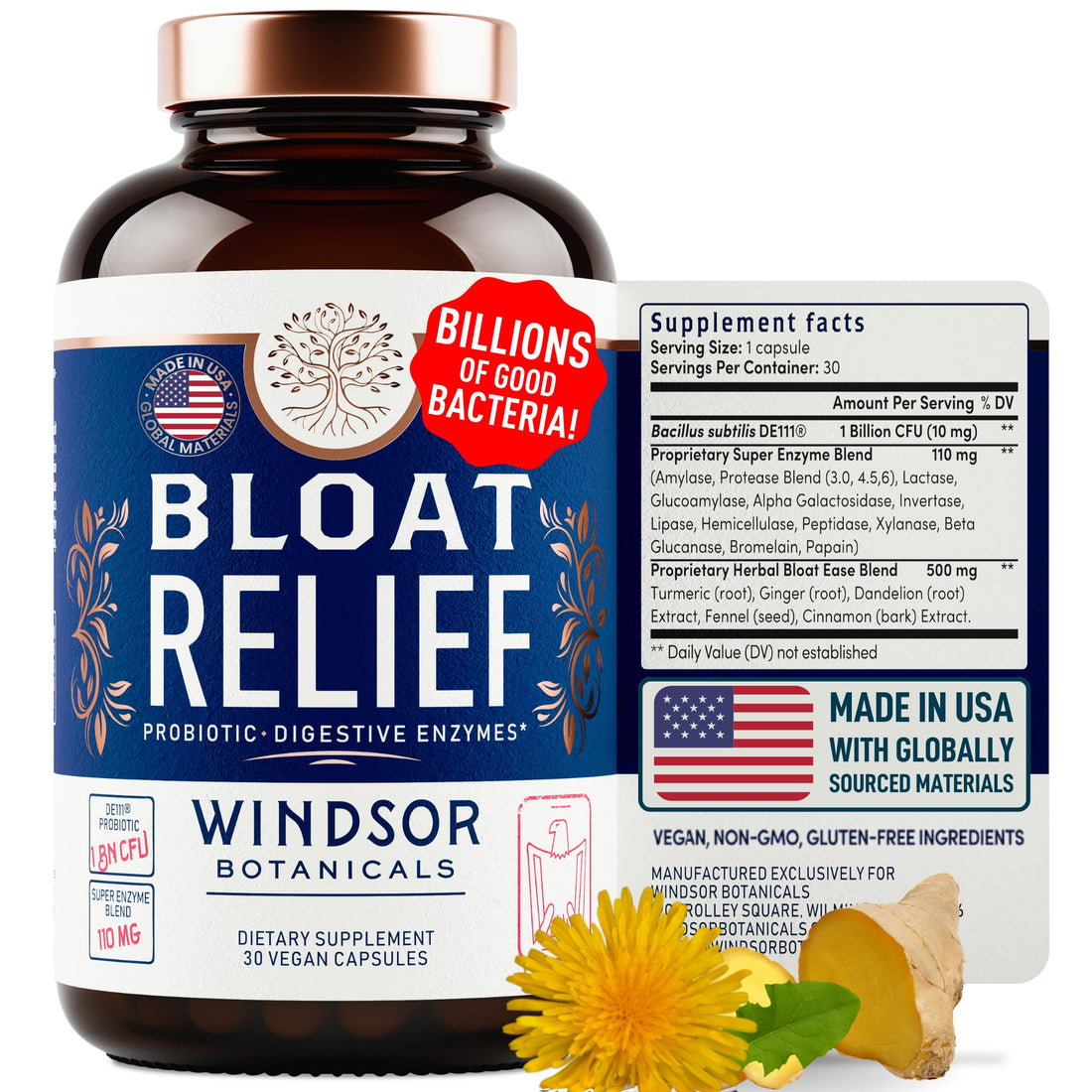 Bloat Relief Probiotic and Digestive Enzymes - Anti Bloating Turmeric, Fennel, Bromelain IBS WINDSOR BOTANICALS buy supplements canada