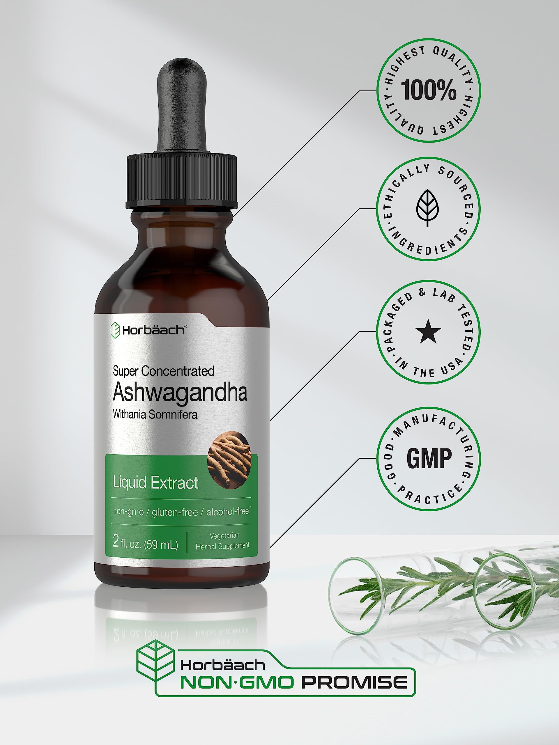 Ashwagandha Root Liquid Extract | 2 fl oz | Alcohol Free Tincture | Vegetarian, Non-GMO, Gluten Free Supplement | by Horbaach Horbäach buy supplements canada