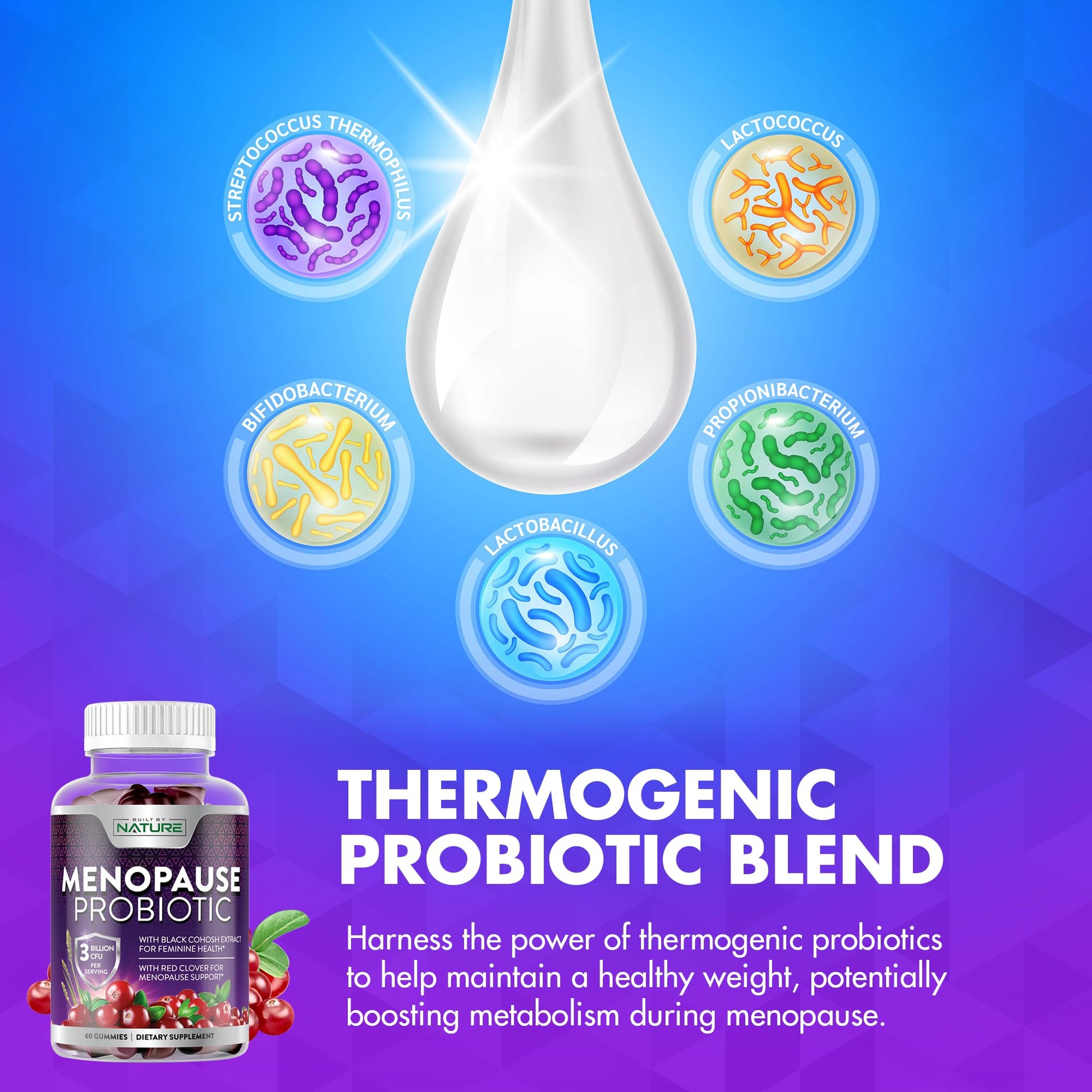 Menopause Supplements for Women - Menopause Probiotic Gummy - Women’s Menopause Relief for Hot Flashes, Night Sweats & Mood Swings with Black Cohosh & Cranberry - Non-GMO, Vegan - 60 Gummies Built by Nature buy supplements canada