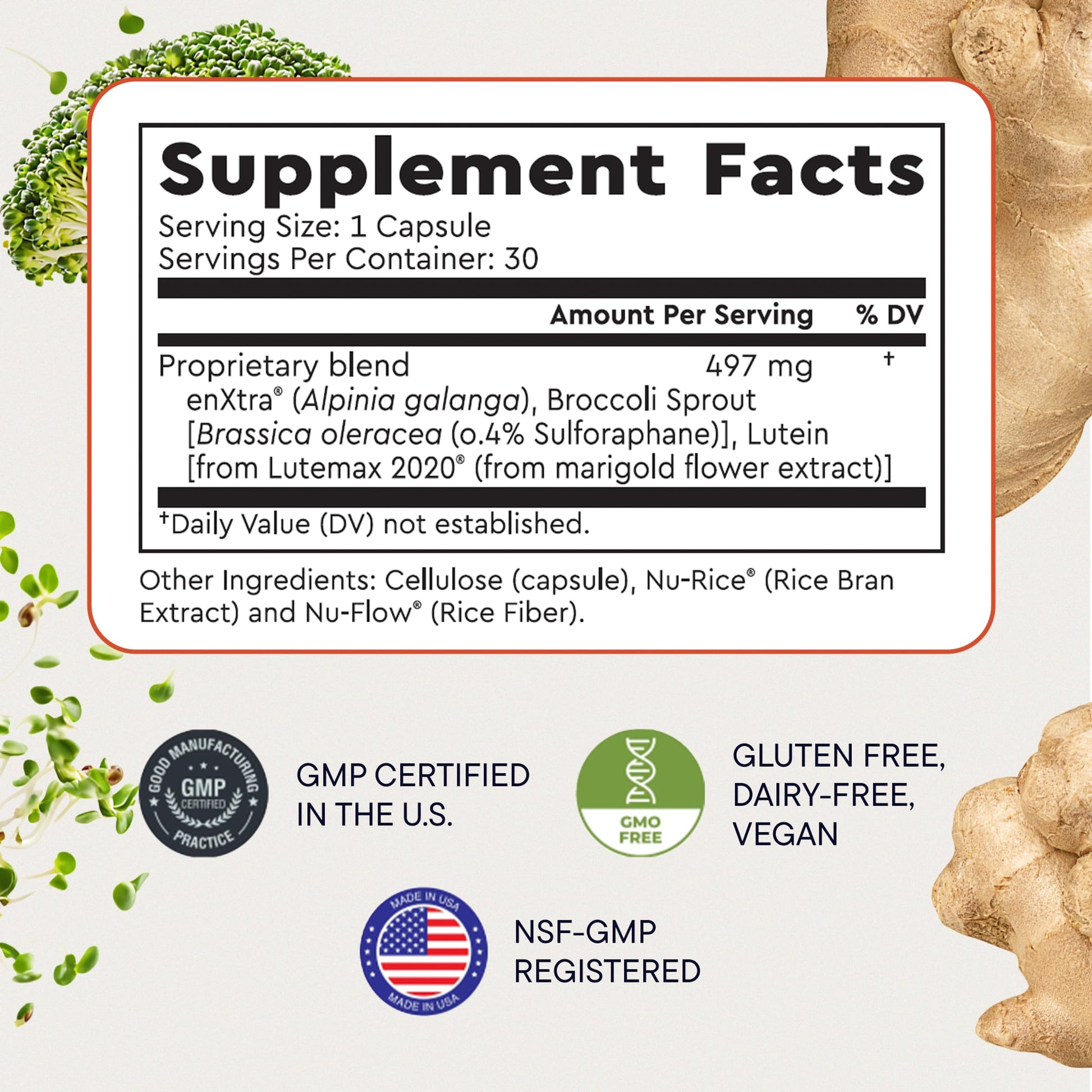 Berkeley Life Cognitive Support Supplement for Memory & Focus - Brain Health Supplements Supports Memory Loss, Mental Clarity, Inability to Multitask & Loss of Speed - for Adults - 30 Capsules Berkeley Life buy supplements canada