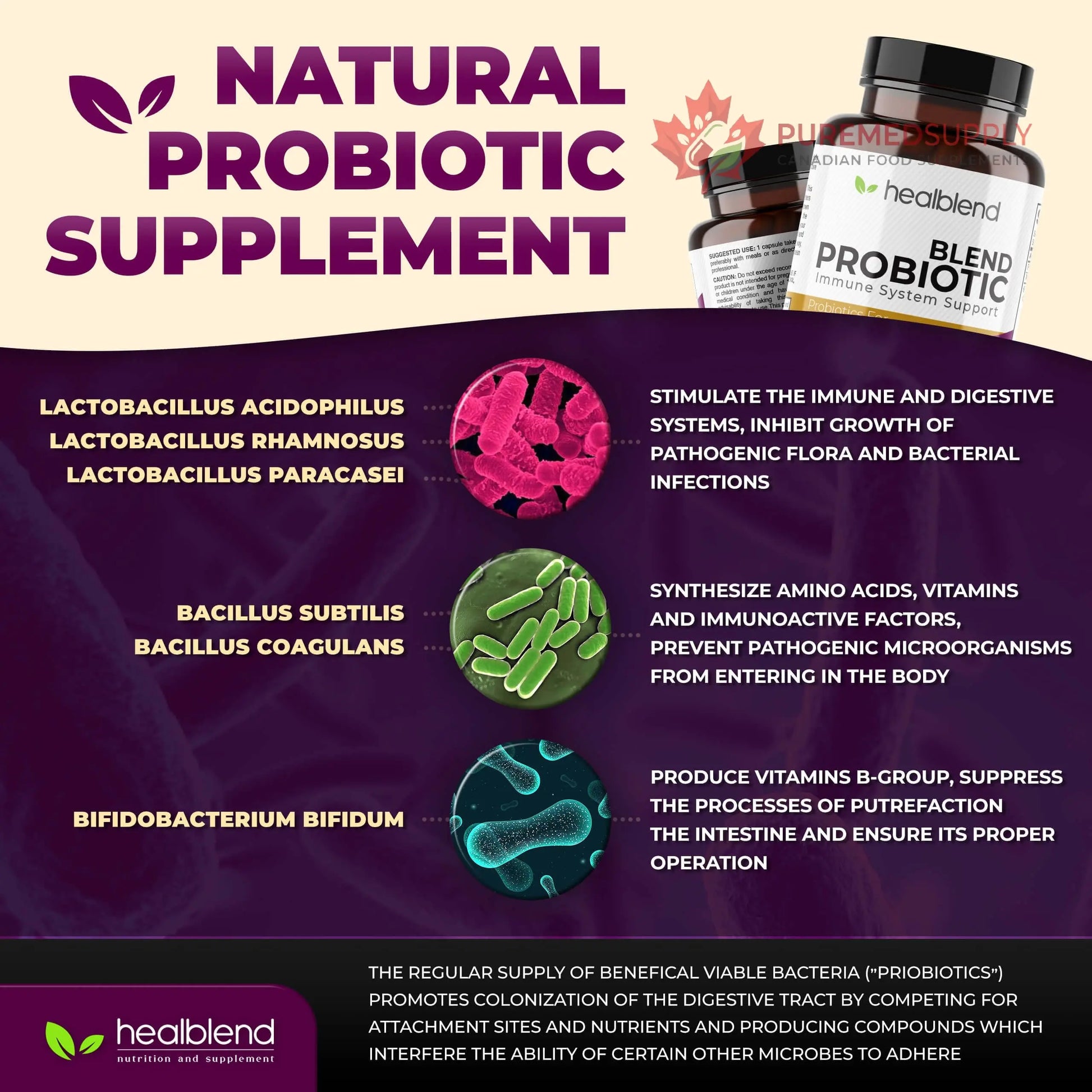 healblend Probiotic Caps Dietary Supplement Capsules, Probiotic for Women and for Men Digestive Health, Immune System Support, Non-GMO, Gluten-Free, 120 Veg Caps healblend buy supplements canada
