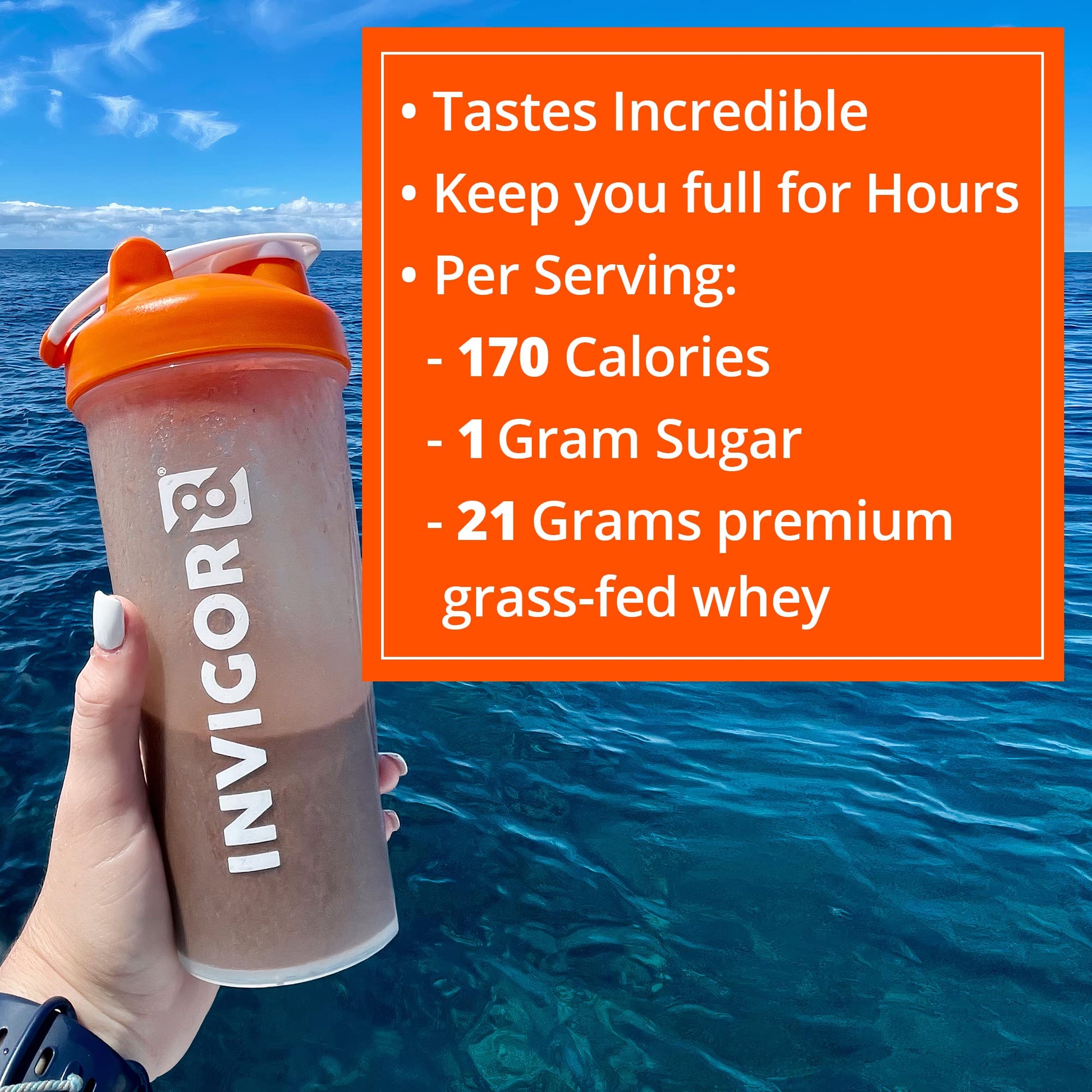 INVIGOR8 Superfood Grass Fed Whey Protein Isolate Shake Chocolate Brownie Gluten INVIGOR8 buy supplements canada