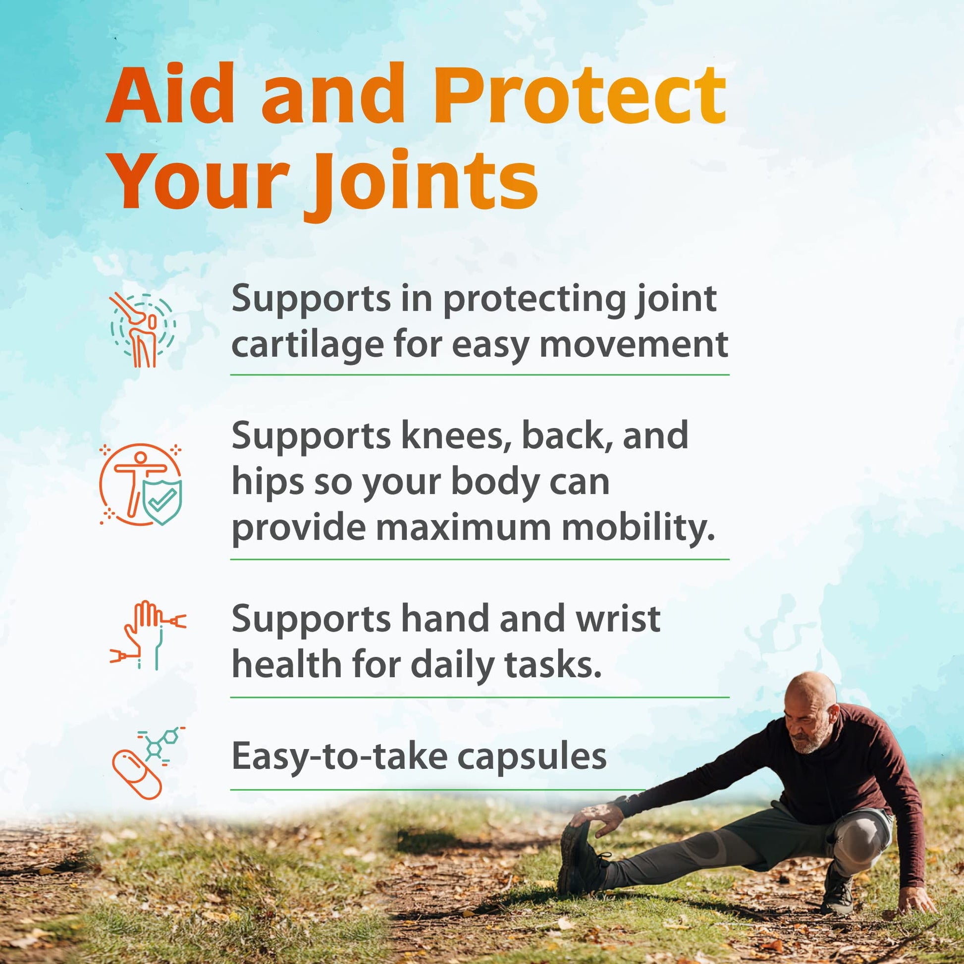 Zenith Labs Joint N-11 Joint Health Supplement Zenith Labs buy supplements canada