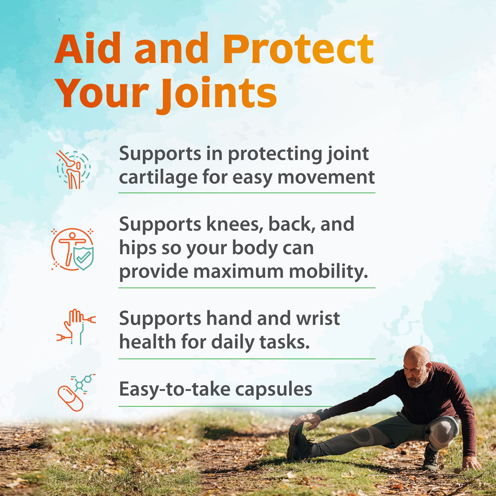 Zenith Labs Joint N-11 Joint Health Supplement Zenith Labs buy supplements canada