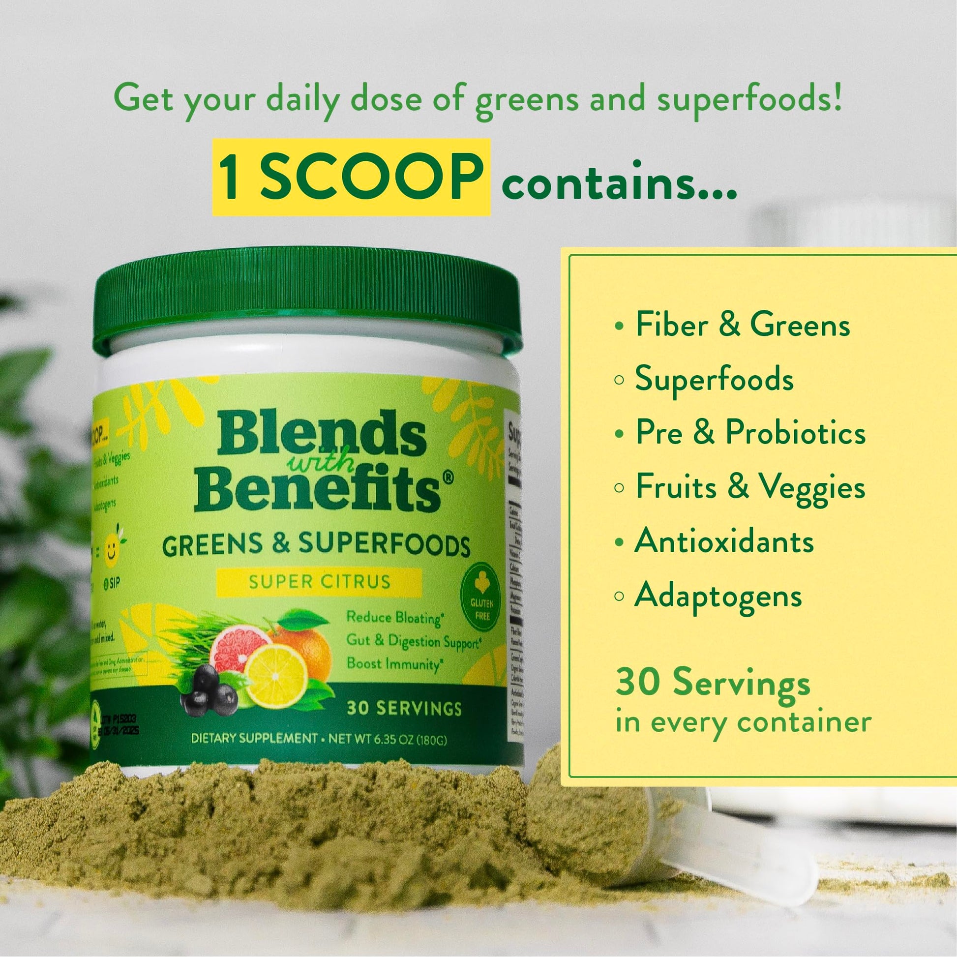 360 Nutrition Blends with Benefits Super Greens Powder w/Probiotics, Digestive Enzymes, Sugar & Gluten Free, Plant Based Superfood Drink Mix for Gut Health, Bloating, Immunity, Overall Health, 6.35 oz 360 Nutrition buy supplements canada