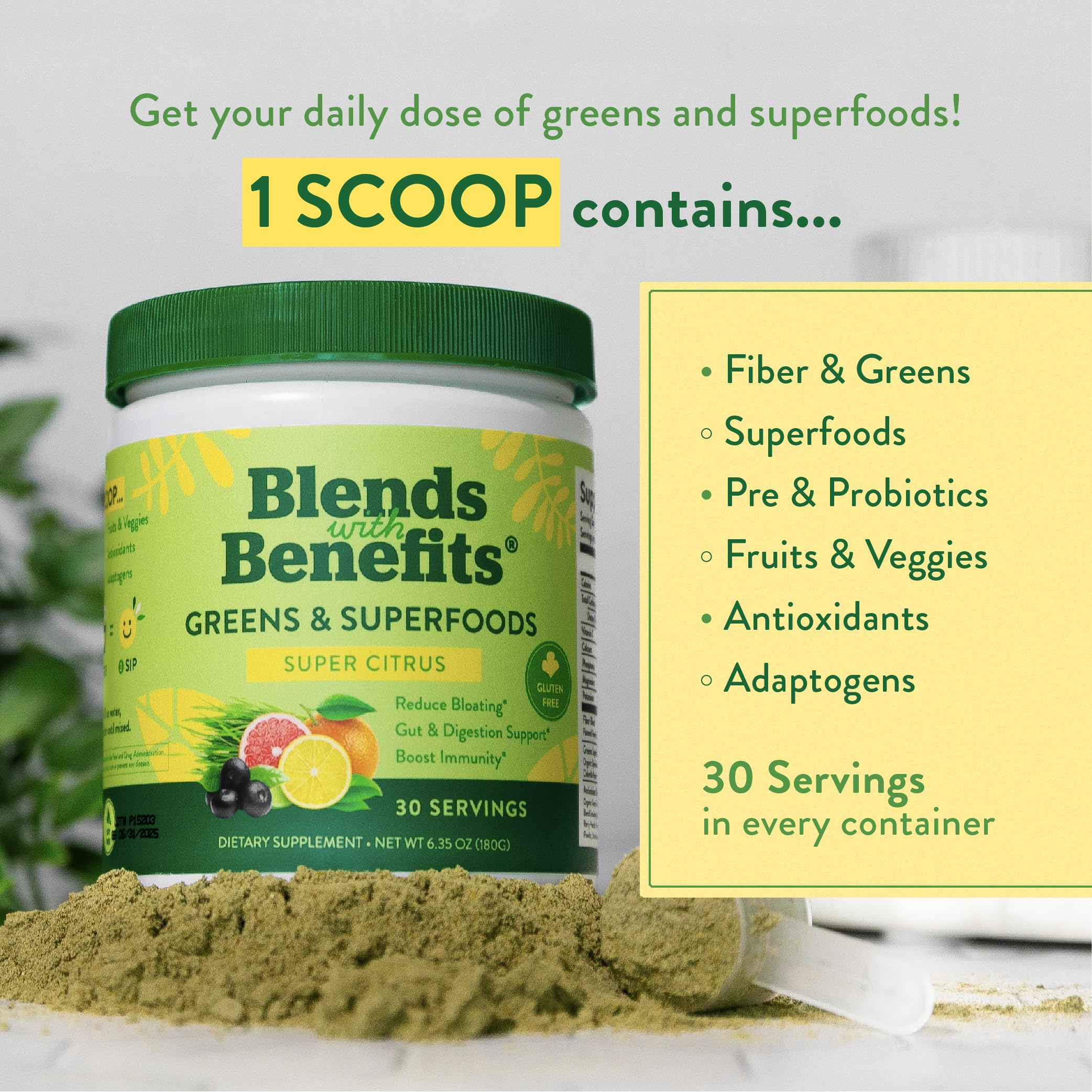 360 Nutrition Blends with Benefits Super Greens Powder w/Probiotics, Digestive Enzymes, Sugar & Gluten Free, Plant Based Superfood Drink Mix for Gut Health, Bloating, Immunity, Overall Health, 6.35 oz 360 Nutrition buy supplements canada