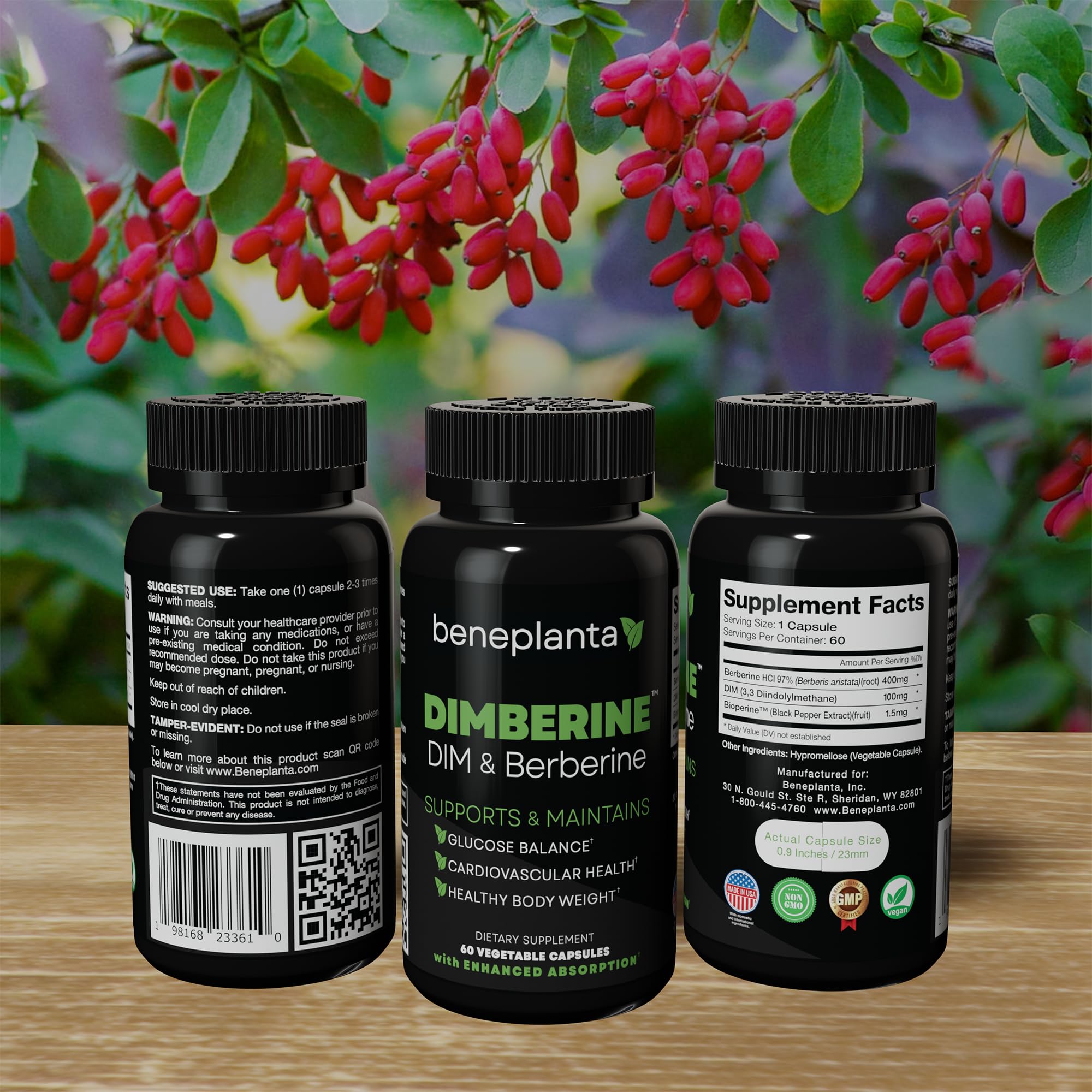 Dimberine - DIM & Berberine, High Purity Enhanced Absorption Formula - 60 Capsules Dimberine buy supplements canada