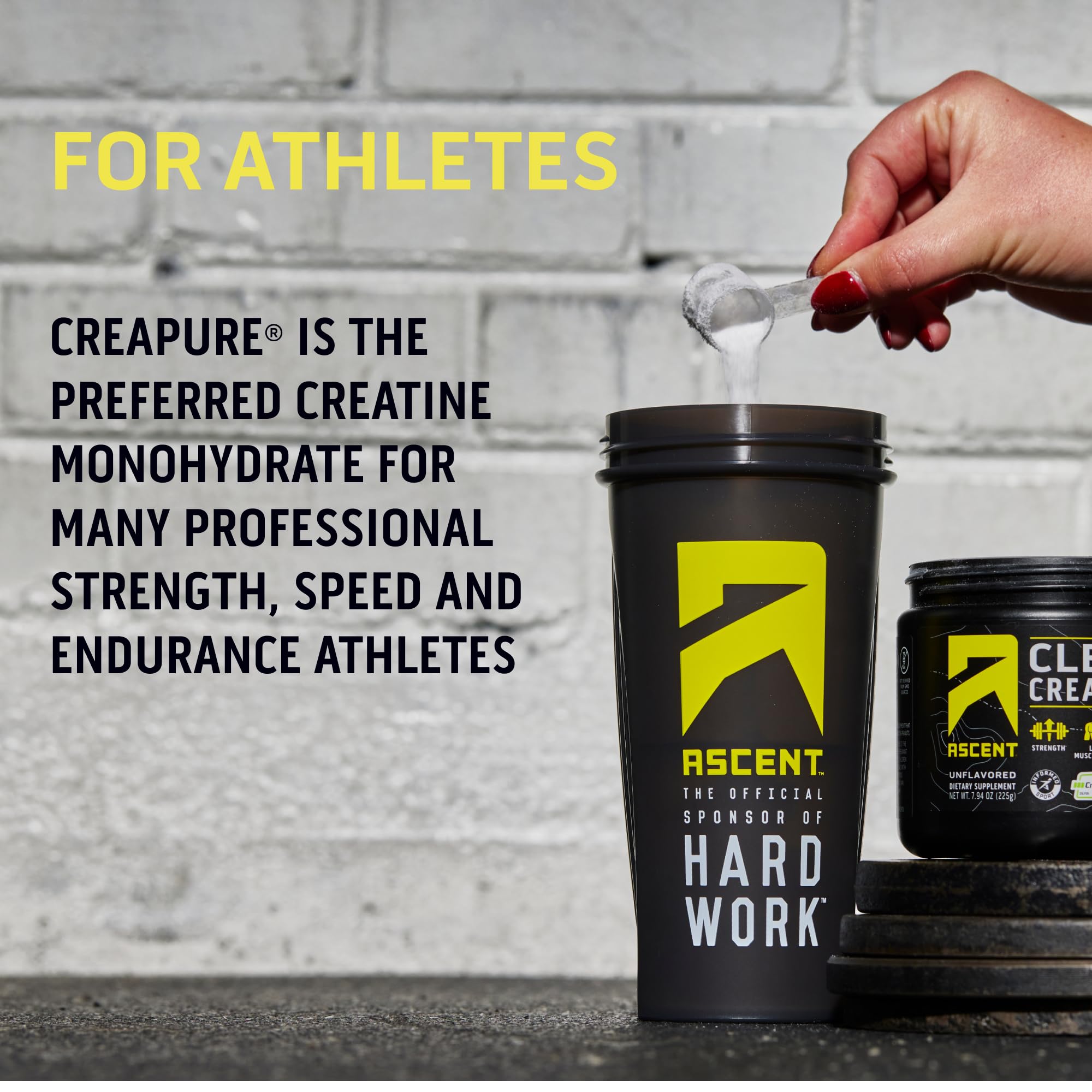 Ascent Clean Creatine Monohydrate Powder - 5G Per Serving, Creapure Creatine Supple Ascent buy supplements canada