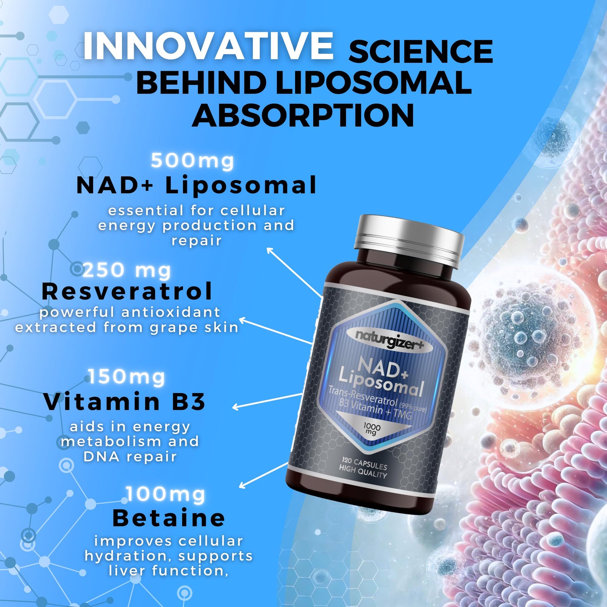 naturgizer+ Liposomal NAD+ Supplement with Resveratrol, TMG & Vitamin B3 | 4-in-1 Healthy Aging & Cellular Energy Support | High Absorption NAD Plus for Men & Women Over 40 | 120 Capsules naturgizer+ buy supplements canada
