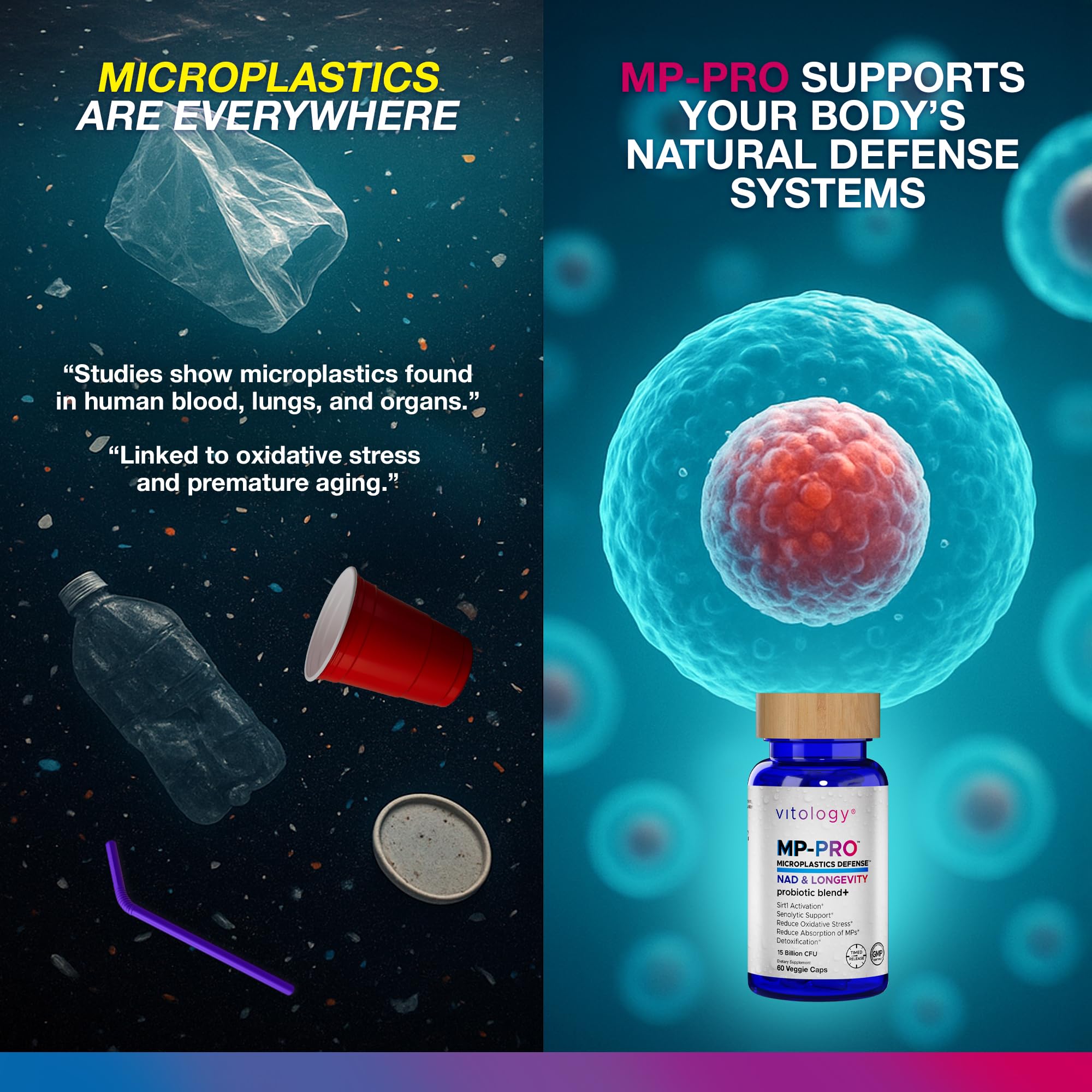 Vitology MP-PRO Microplastics Defense | 15 Billion CFU Probiotic + Antioxidant Blend | NMN, NAC, Glutathione, Resveratrol & Charcoal | Supports Cellular Detox, Longevity & Gut Health – 60 Capsules Vitology buy supplements canada