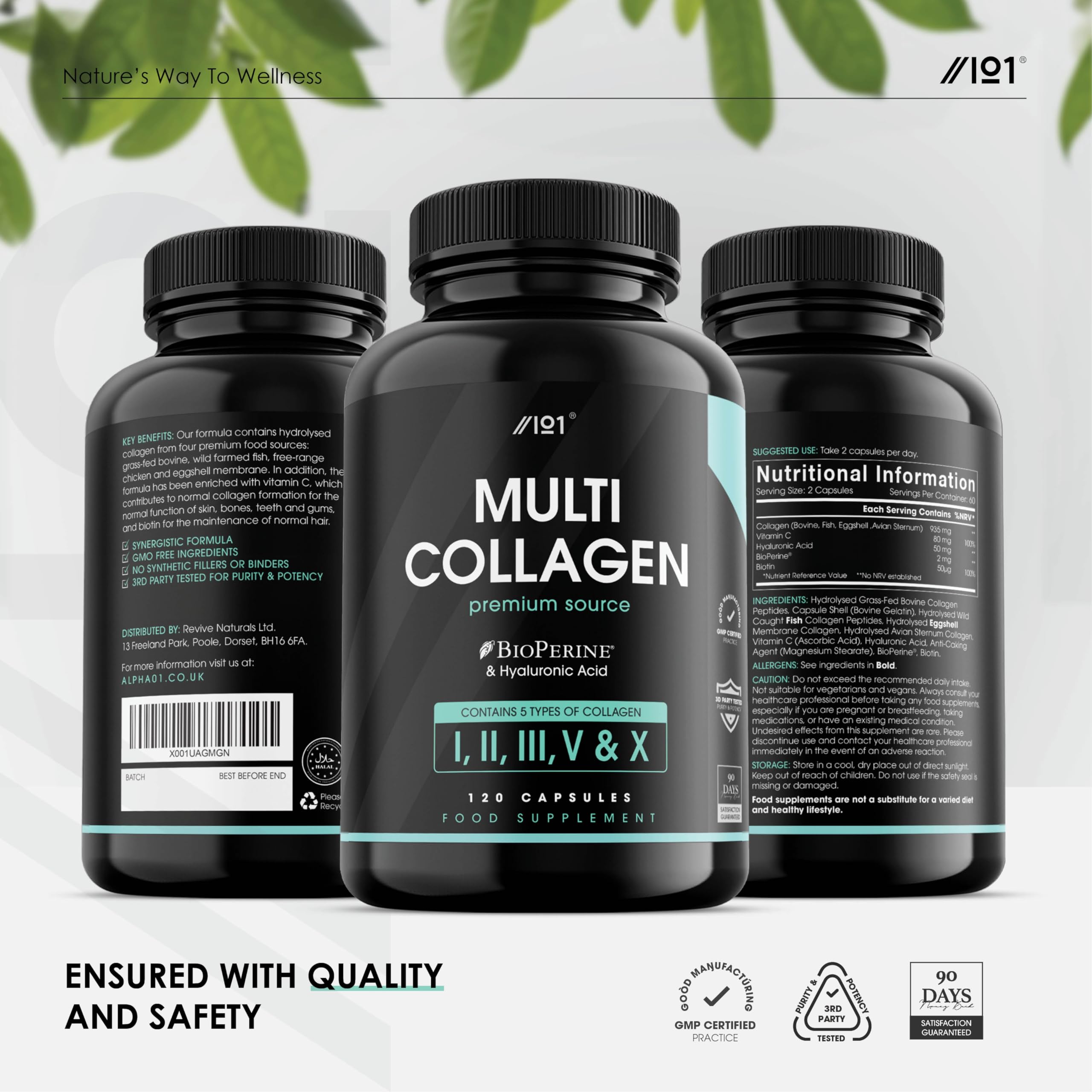 Multi Collagen Capsules - 120 Capsules - Types I, II, III, V & X - Wild Caught Fish, Grass Fed Bovine, Eggshell Revive Naturals buy supplements canada