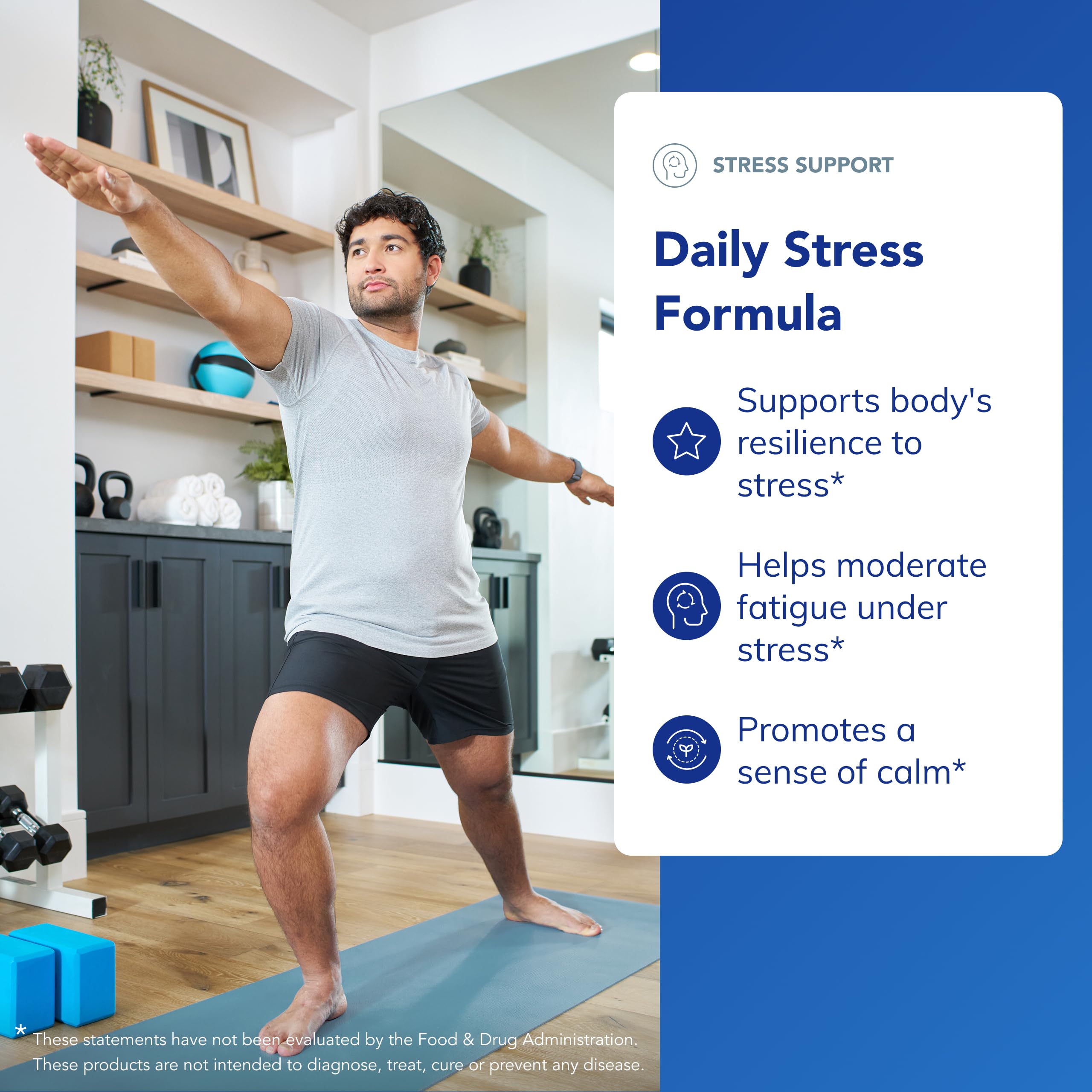 Pure Encapsulations Daily Stress Formula | Promotes Relaxation and Moderates the Effects of Occasional Stress*| 180 Capsules Pure Encapsulations buy supplements canada