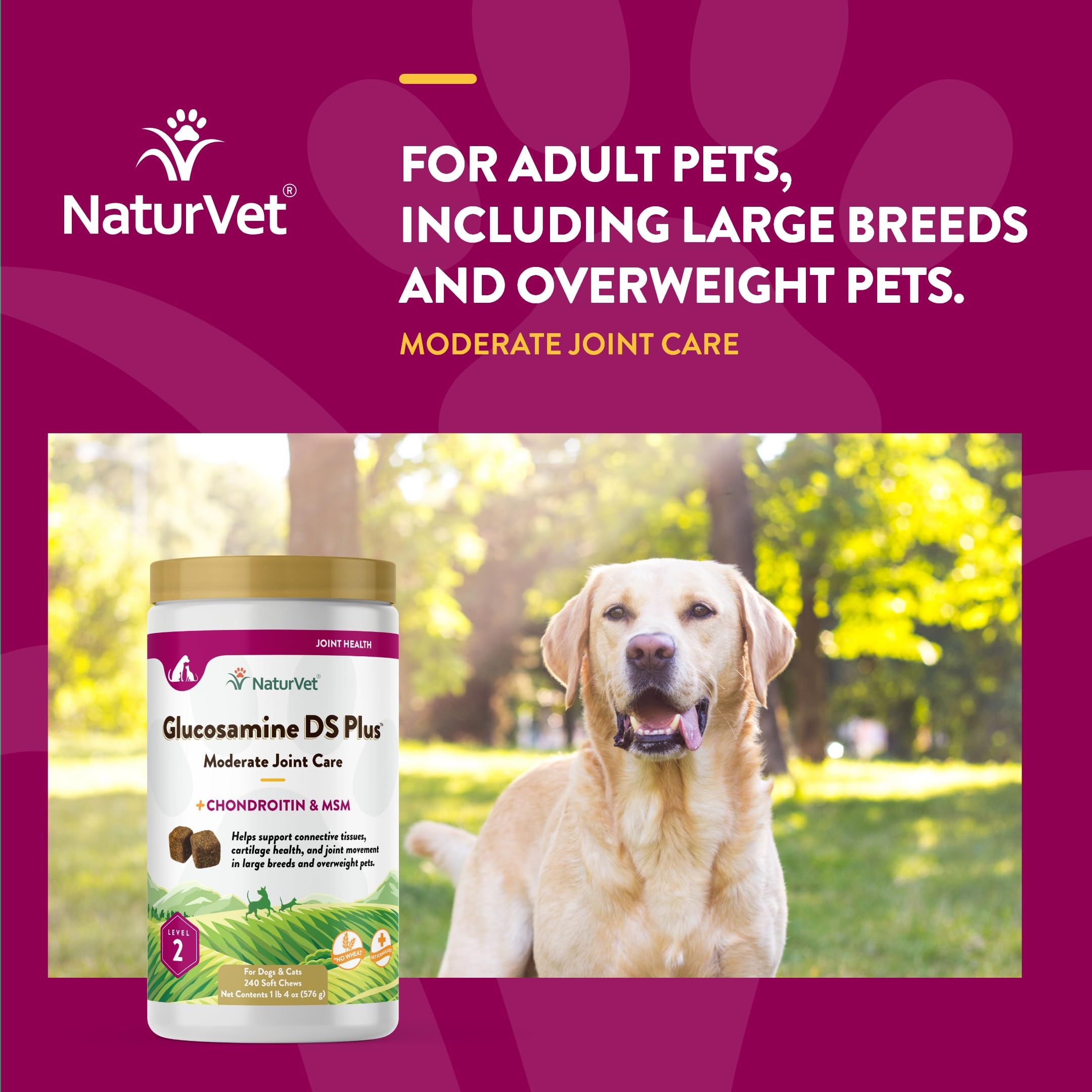 NaturVet – Glucosamine DS Plus - Level 2 Moderate Care – Supports Healthy Hip & Joint Function – Enhanced with Glucosamine, MSM & Chondroitin – for Dogs & Cats – 240 Soft Chews NaturVet buy supplements canada