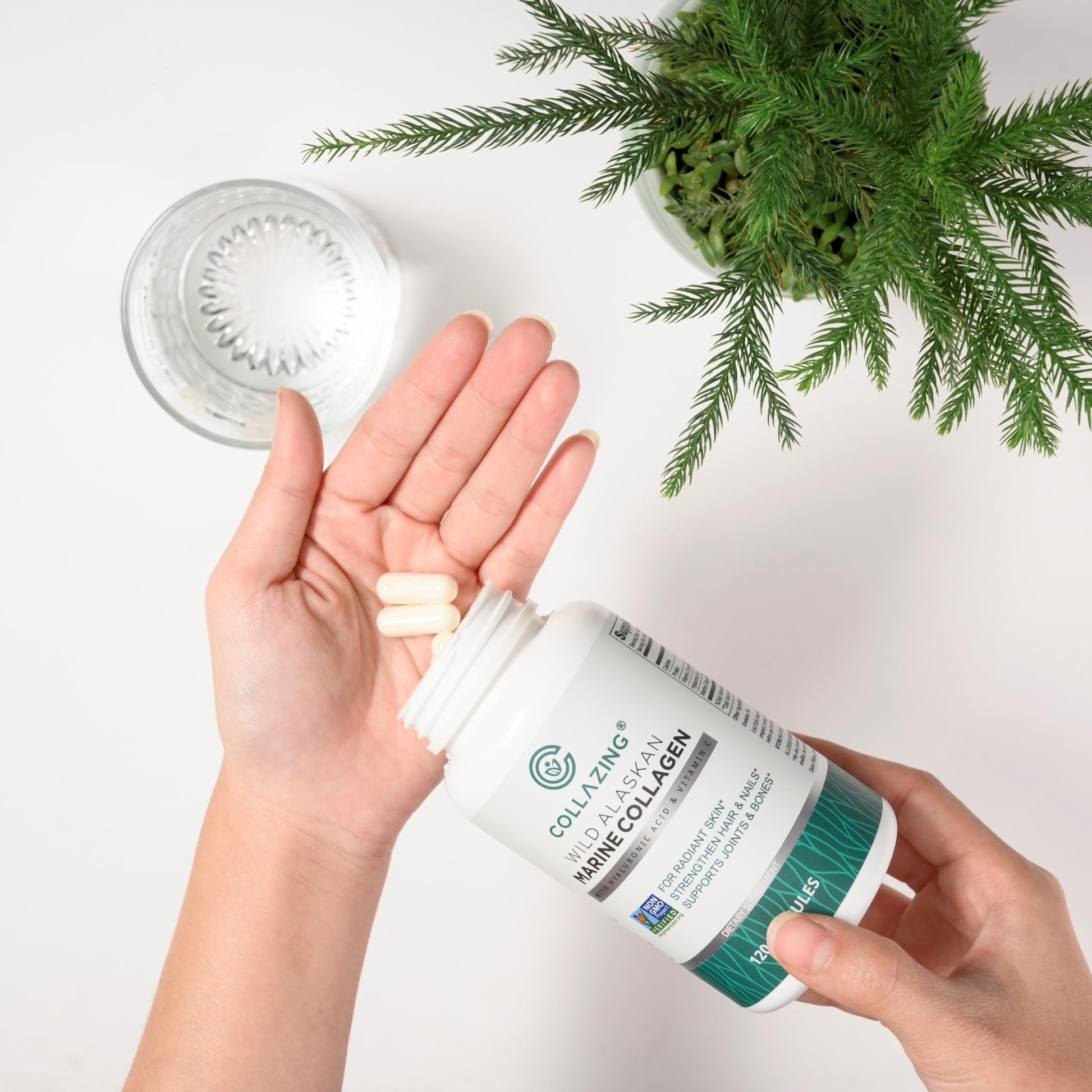 C COLLAZING - Alaskan Wild-Caught Marine Collagen Peptides with Hyaluronic Acid & Vitamin C - Supports Skin, Hair, Nails, Joints & Bones - Type 1 & 3 Collagen C COLLAZING buy supplements canada