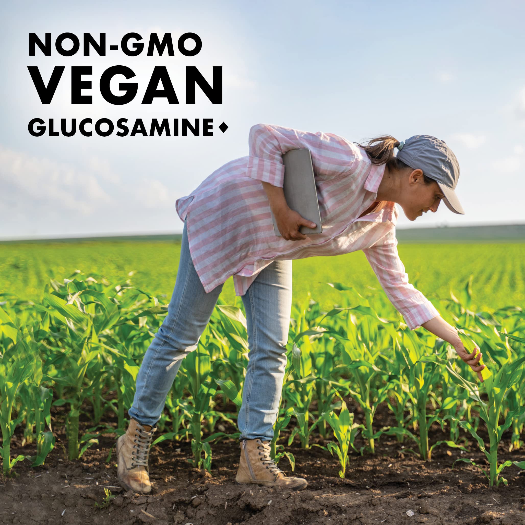 BlueBonnet Vegetarian Glucosamine Plus MSM Supplement, 120 Count ('743715011151) BlueBonnet buy supplements canada