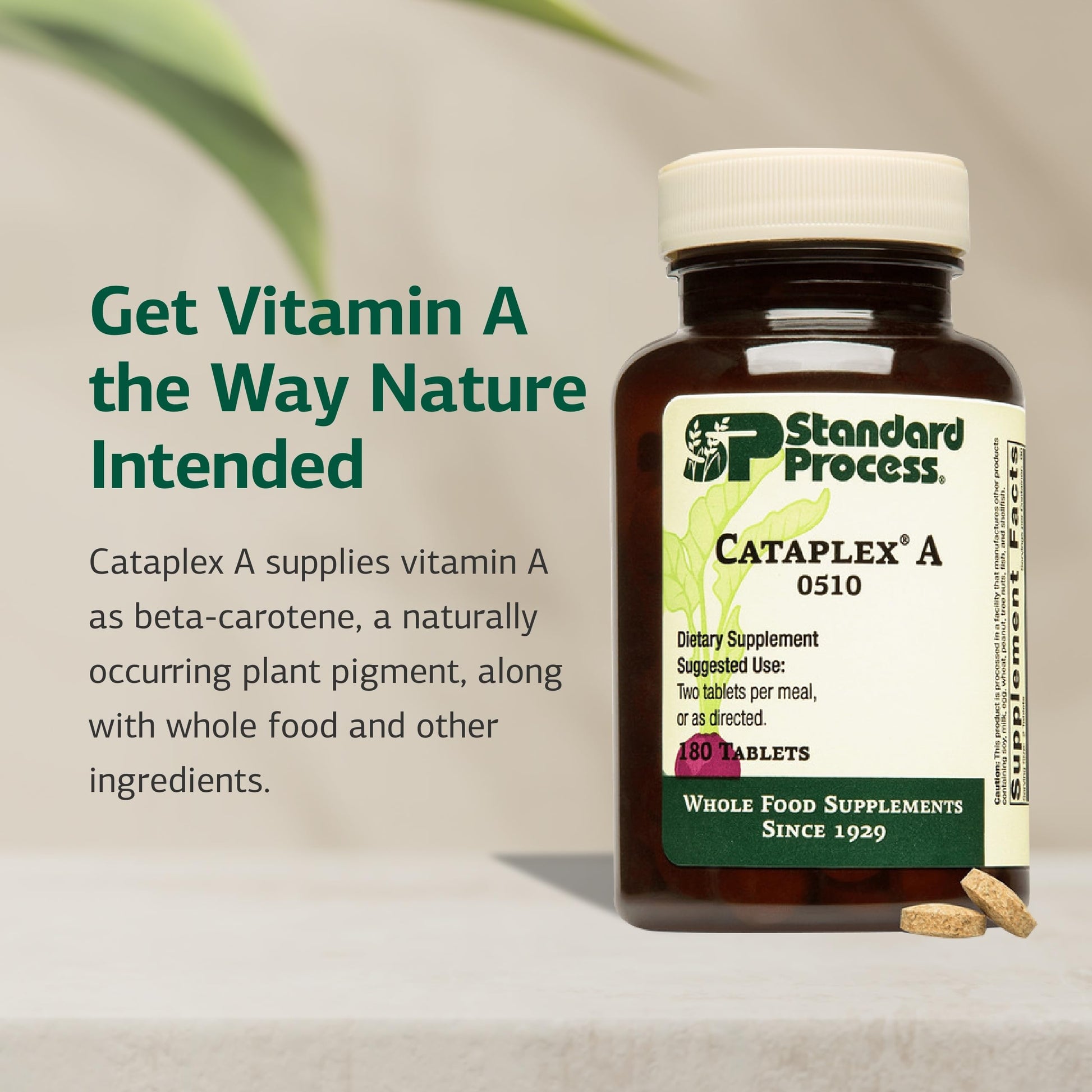 Standard Process Cataplex A - Supports Eye Health & Mucous Membranes - Supports Healthy Vision & Provides Antioxidant Vitamin A - Non-Dairy & Non-Soy - 180 Tablets Standard Process Inc. buy supplements canada