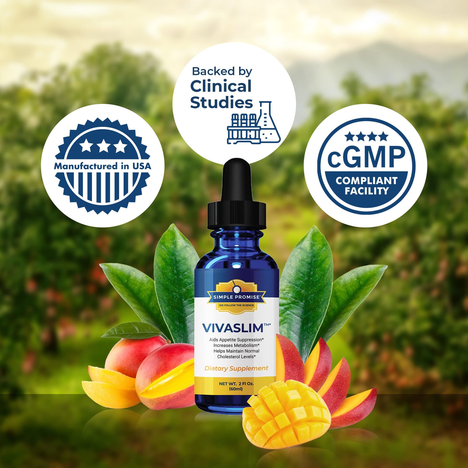 Simple Promise - VivaSlim - Natural Liquid Drops with African Mango, 2 fl oz Simple Promise buy supplements canada