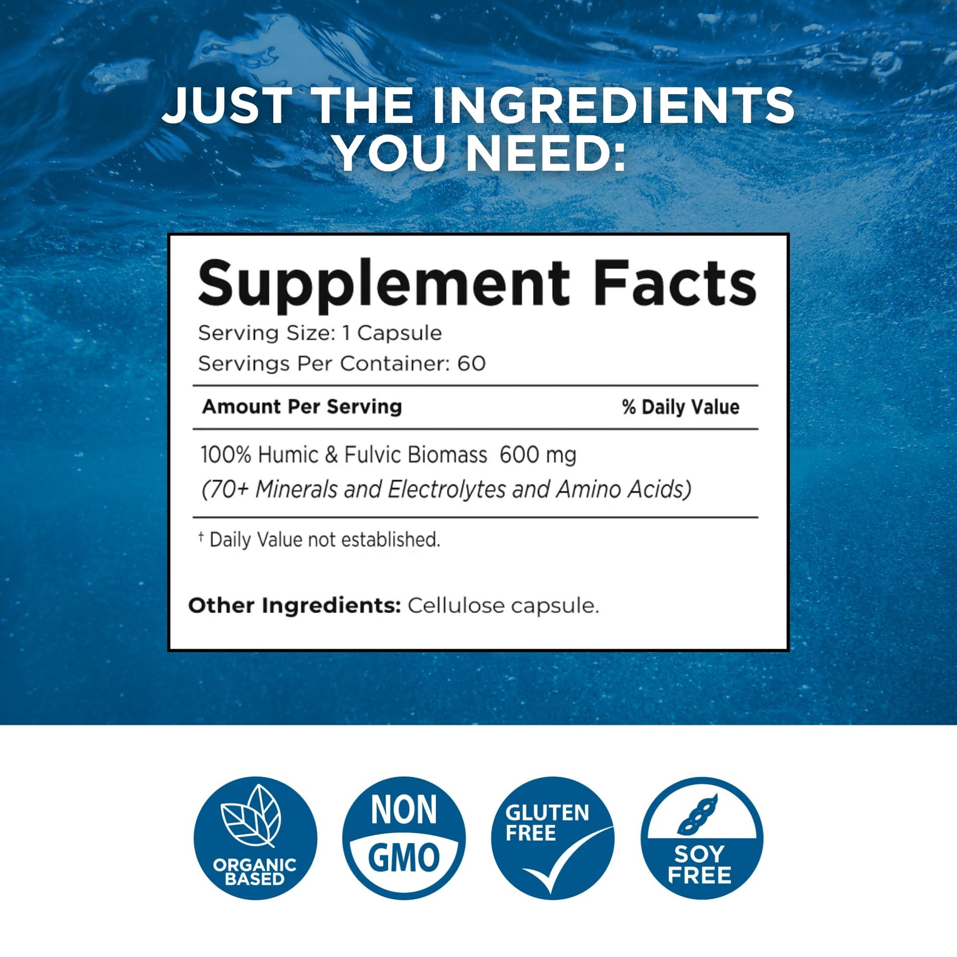 Beam Minerals Complete Multi-Mineral Capsules | Electro-Boost Plant-Based Electrolytes and Micronutrients for Men and Women | Help to Boost Immunity, Support Gut Health BEAM MINERALS buy supplements canada