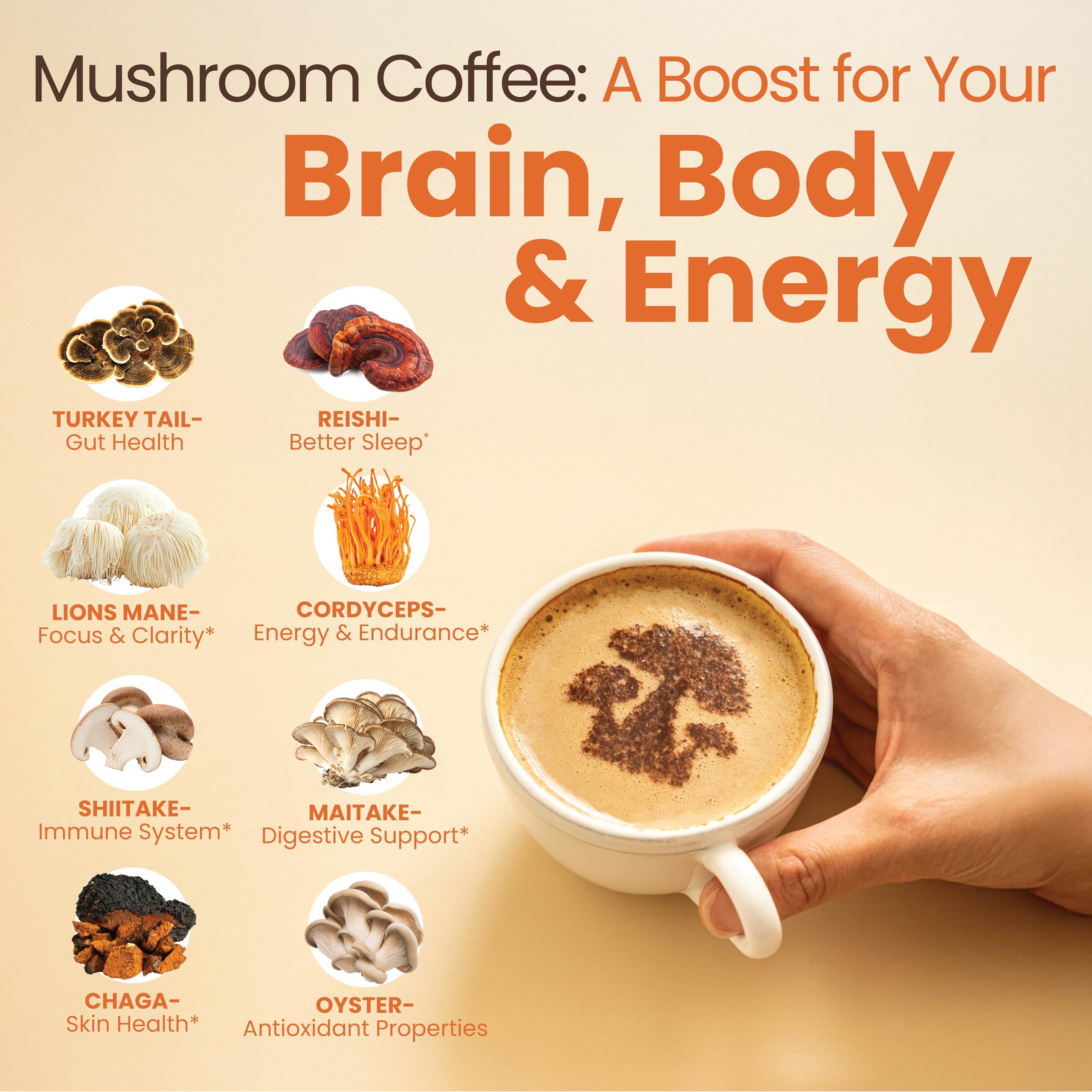 Focus Coffee Mushroom Blend, Nootropic Complex Coffee, Supports Alertness and Clarity, (Lion’s Mane, Cordyceps, Turkey Tail) Green Coffee Bean Instant Coffee for Focus & Gut Health, 30 Servings Rapid Fire buy supplements canada