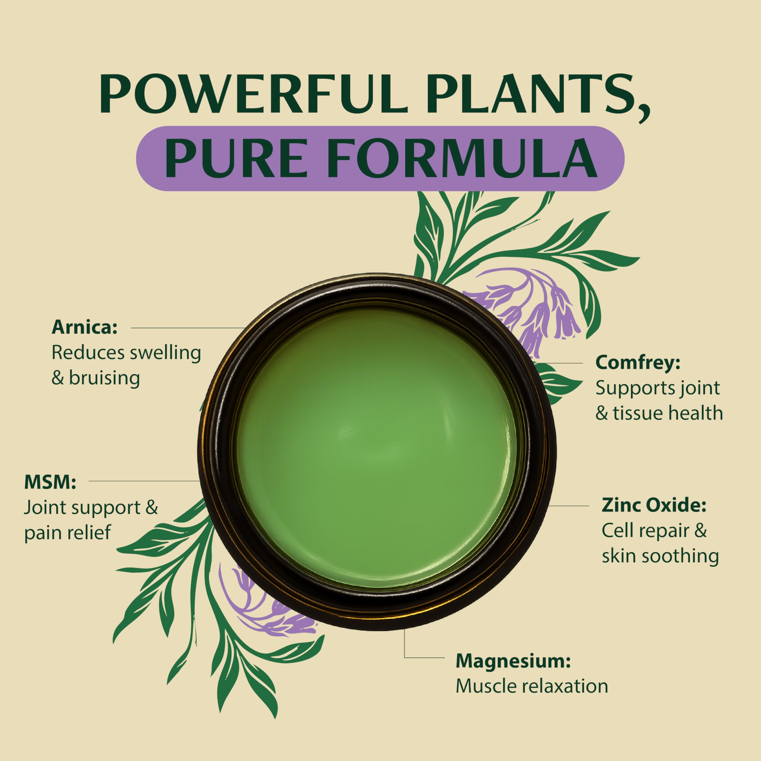 Wild Healing Comfrey Salve – Concentrated Herbal Balm with Arnica, Magnesium & MSM – Soothing Botanical Cream for Joints, Muscles & Dry Skin – 4.23 oz Wild Healing buy supplements canada