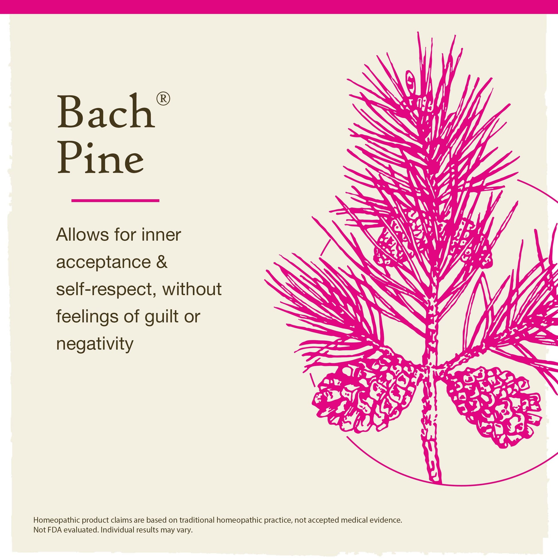 Bach Original Flower Remedies, Pine for Self Respect, Natural Homeopathic Flower Essence Bach buy supplements canada