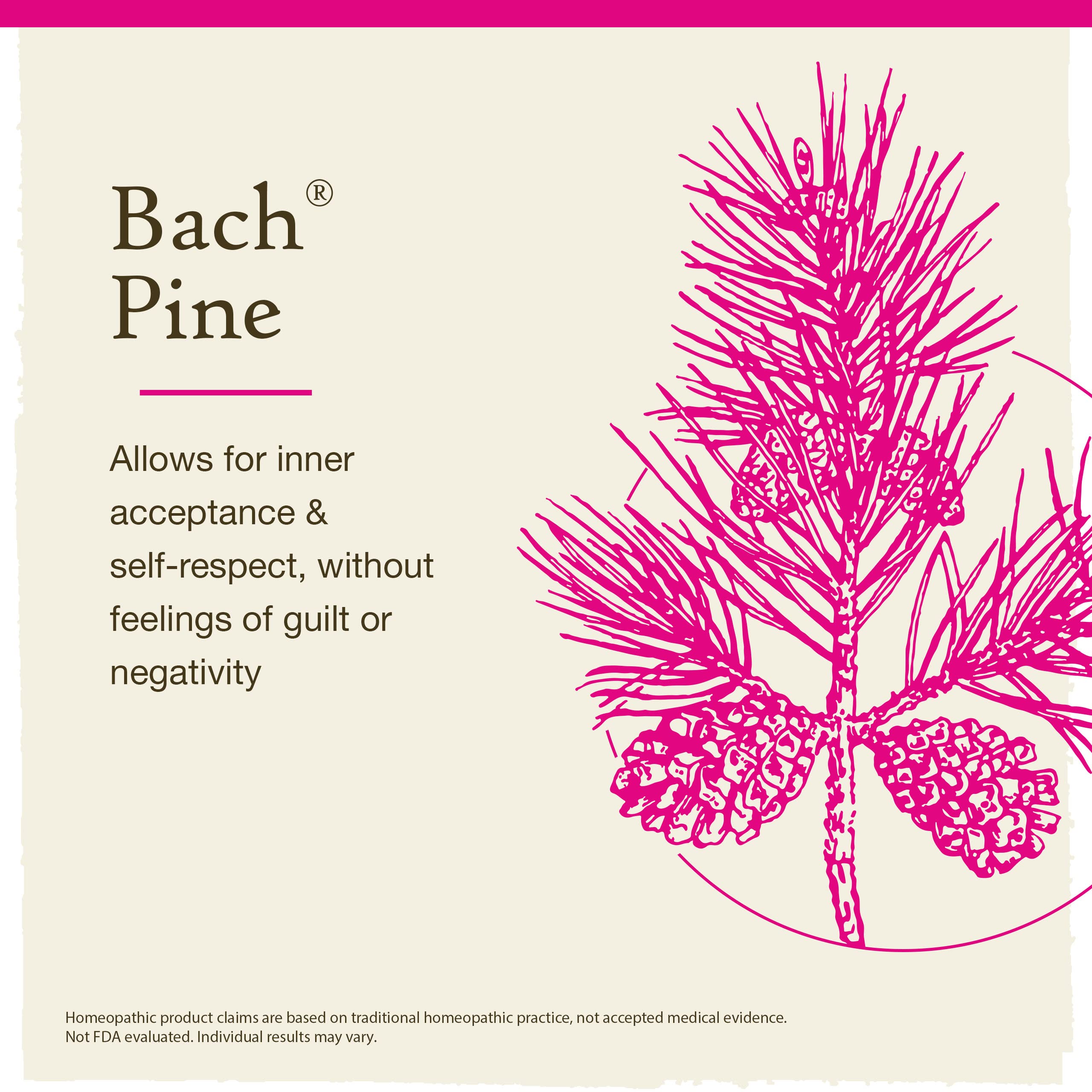 Bach Original Flower Remedies, Pine for Self Respect, Natural Homeopathic Flower Essence Bach buy supplements canada