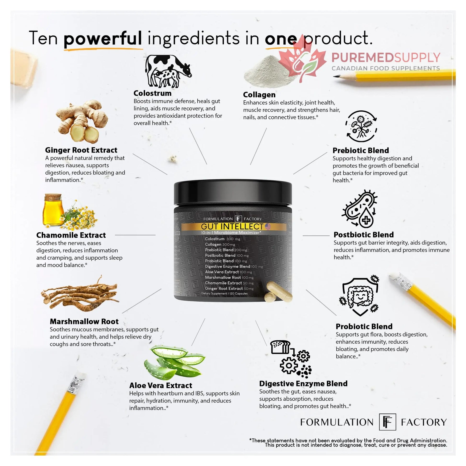 Formulation Factory Probiotics for Women & Men - Gut Intellect 10-in-1 Digestive Enzymes with Prebiotics and Postbiotics - Total Gut Health Supplement - 120 Capsules, 2 Month Supply Formulation Factory buy supplements canada
