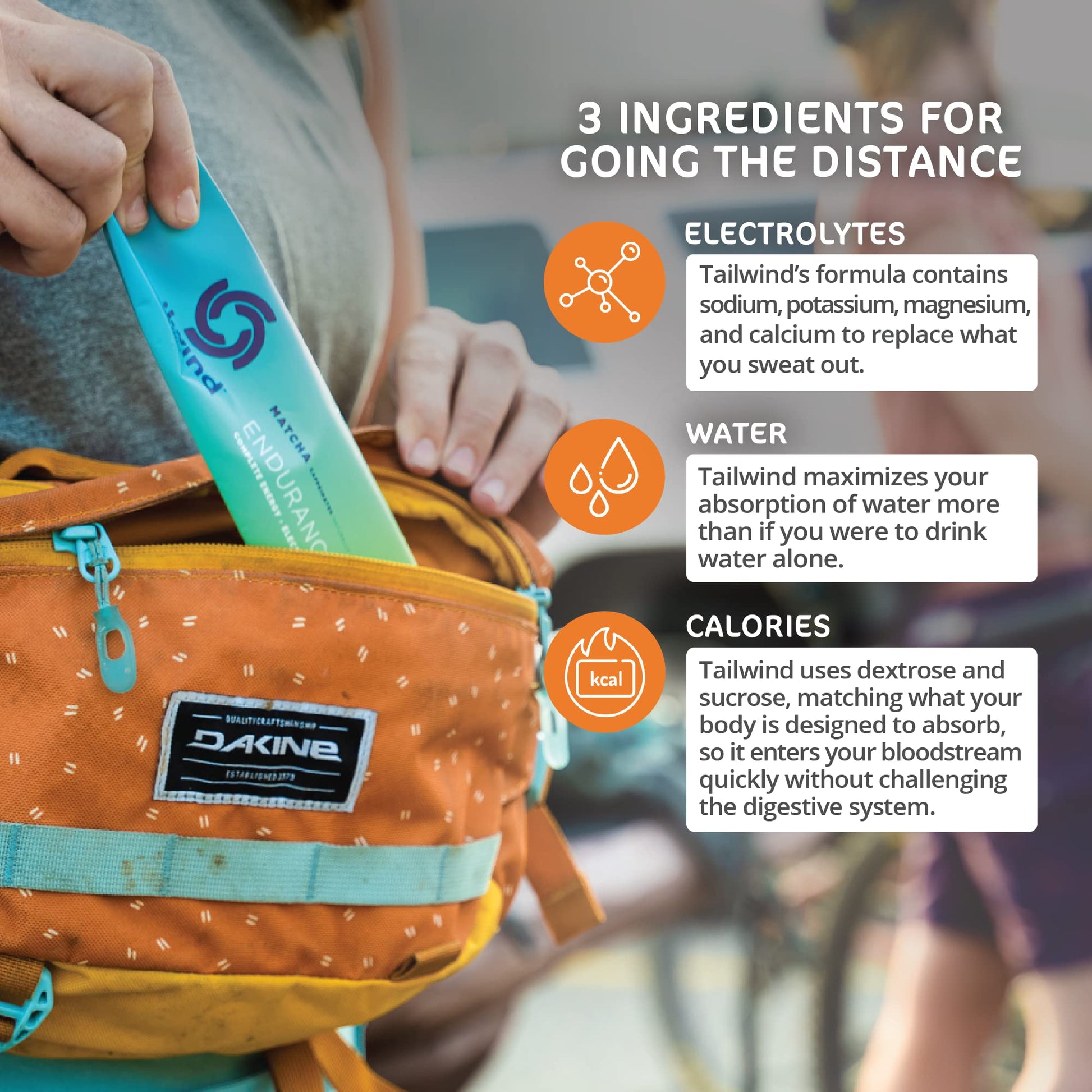 Tailwind Grab-and-Go Endurance Fuel Single Serve Assorted Flavors Tailwind Nutrition buy supplements canada