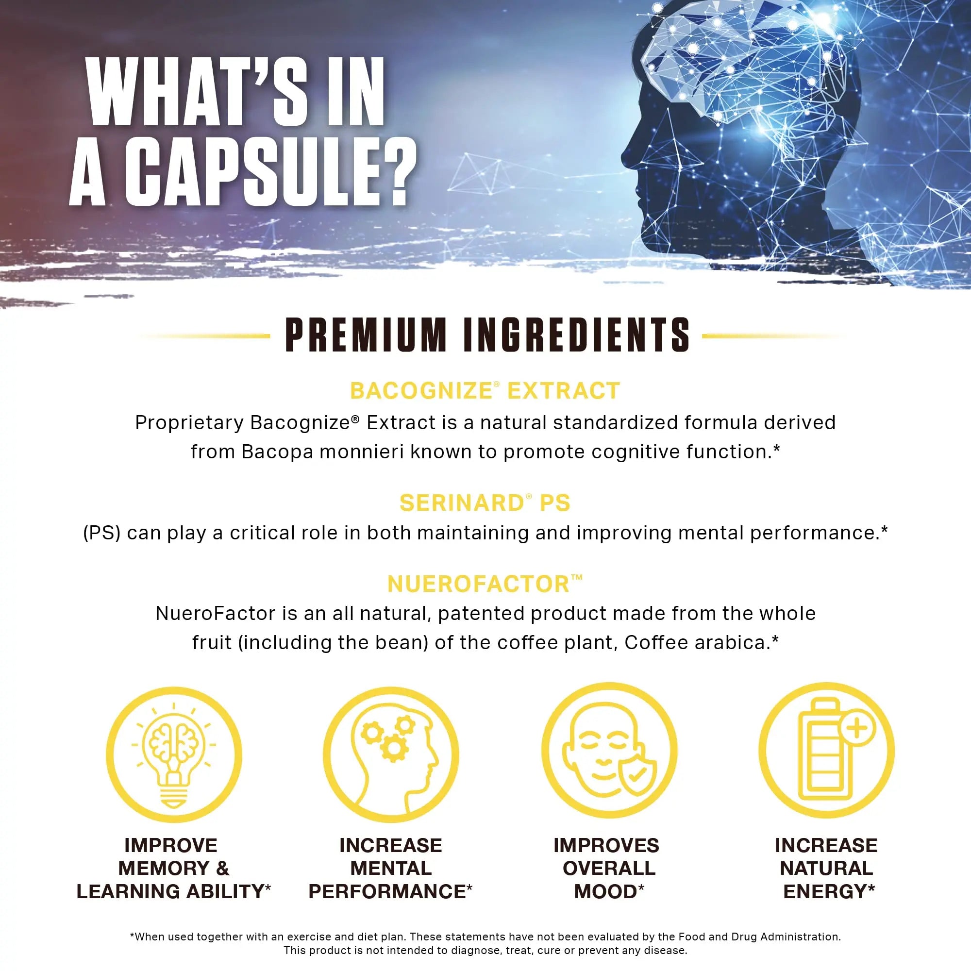 Ambrosia Mental Jewels (Capsules) - Cognitive Enhancer | Increase Memory, Communication Skills, Concentration & Focus | Alpha GPC, Choline, BaCognize Ambrosia buy supplements canada