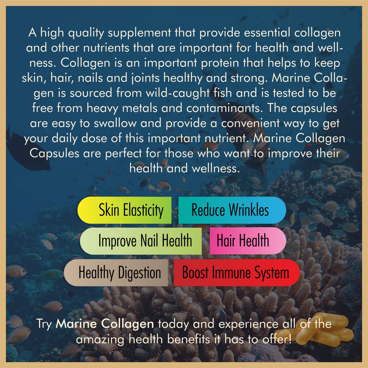 Vitalytes Marine Collagen Supplement 2400mg | 120 Marine Collagen Capsules Made in The UK Vitalytes buy supplements canada