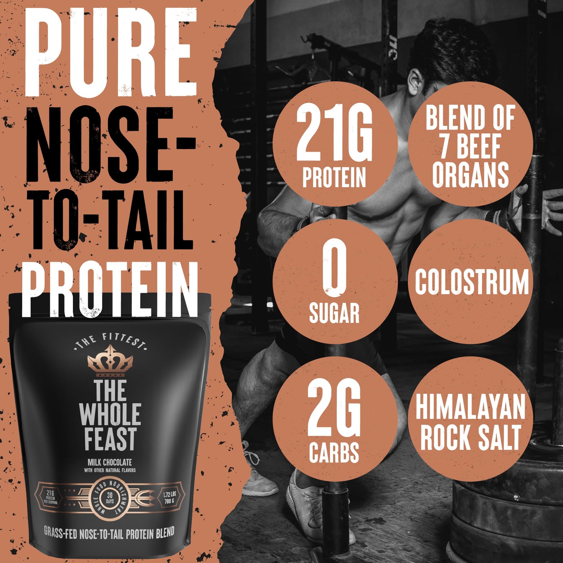 The Fittest Whole Feast Beef Protein Powder - Milk Chocolate - Grass Fed Nose to Tail Carnivore Blend Including Liver, Colostrum and Whole Bone - BCAAs - 14g Collagen, 21g Total Protein The Fittest Ever buy supplements canada