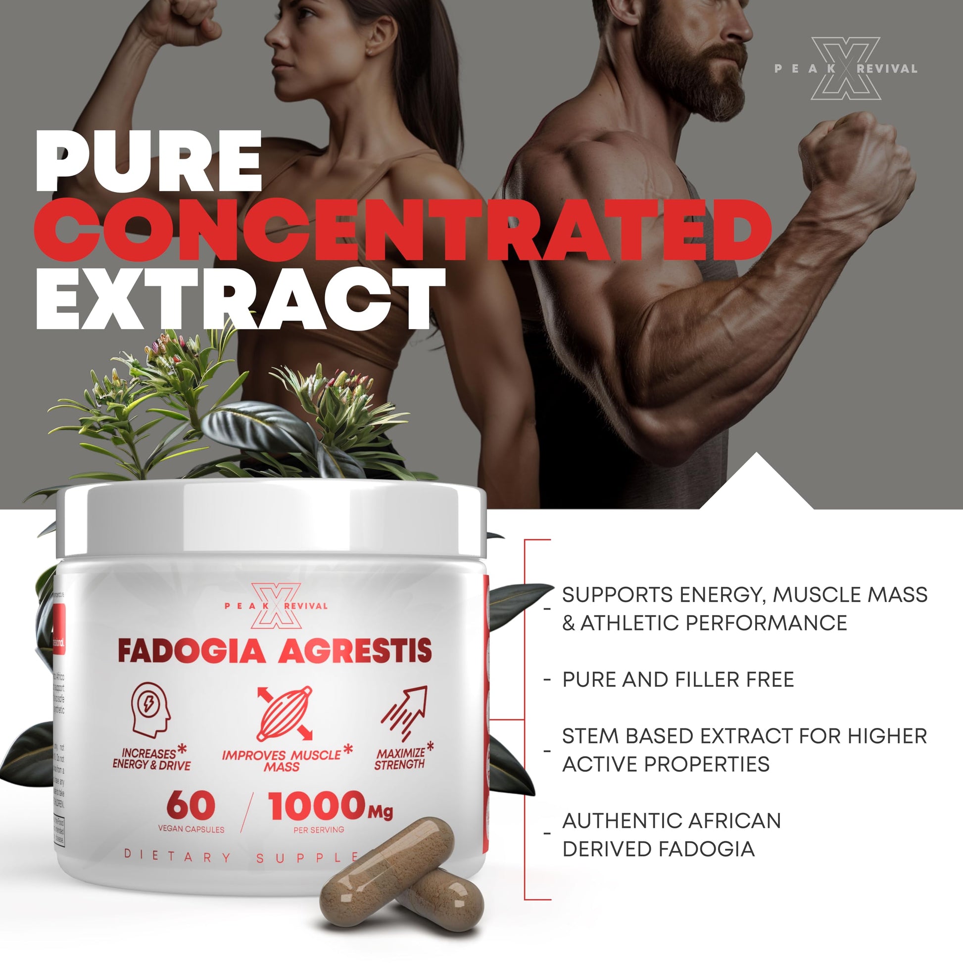 Peak Revival-X Fadogia Agrestis 1000mg Per Serving Supplement - Potent Extract to Increase Energy, Athletic Performance & Muscle Mass - Supplements, Made in The USA (60 Capsules) Peak Revival-X buy supplements canada