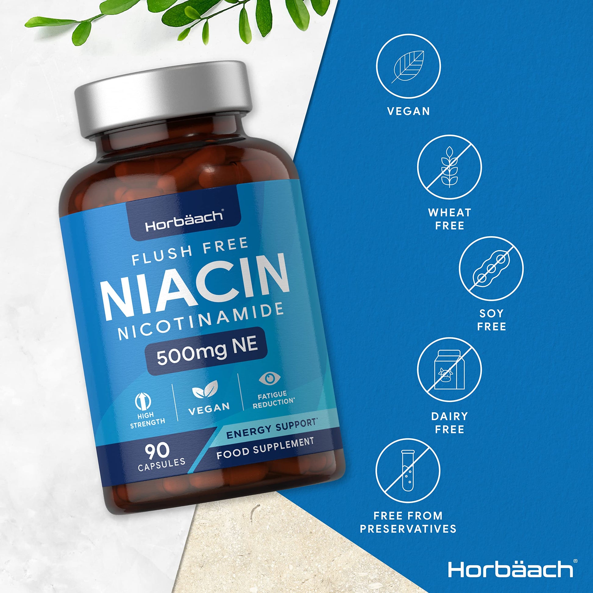 Vitamin B3 Niacin 500mg | 90 Vegan Capsules | Flush Free Nicotinamide Supplement Horbäach buy supplements canada