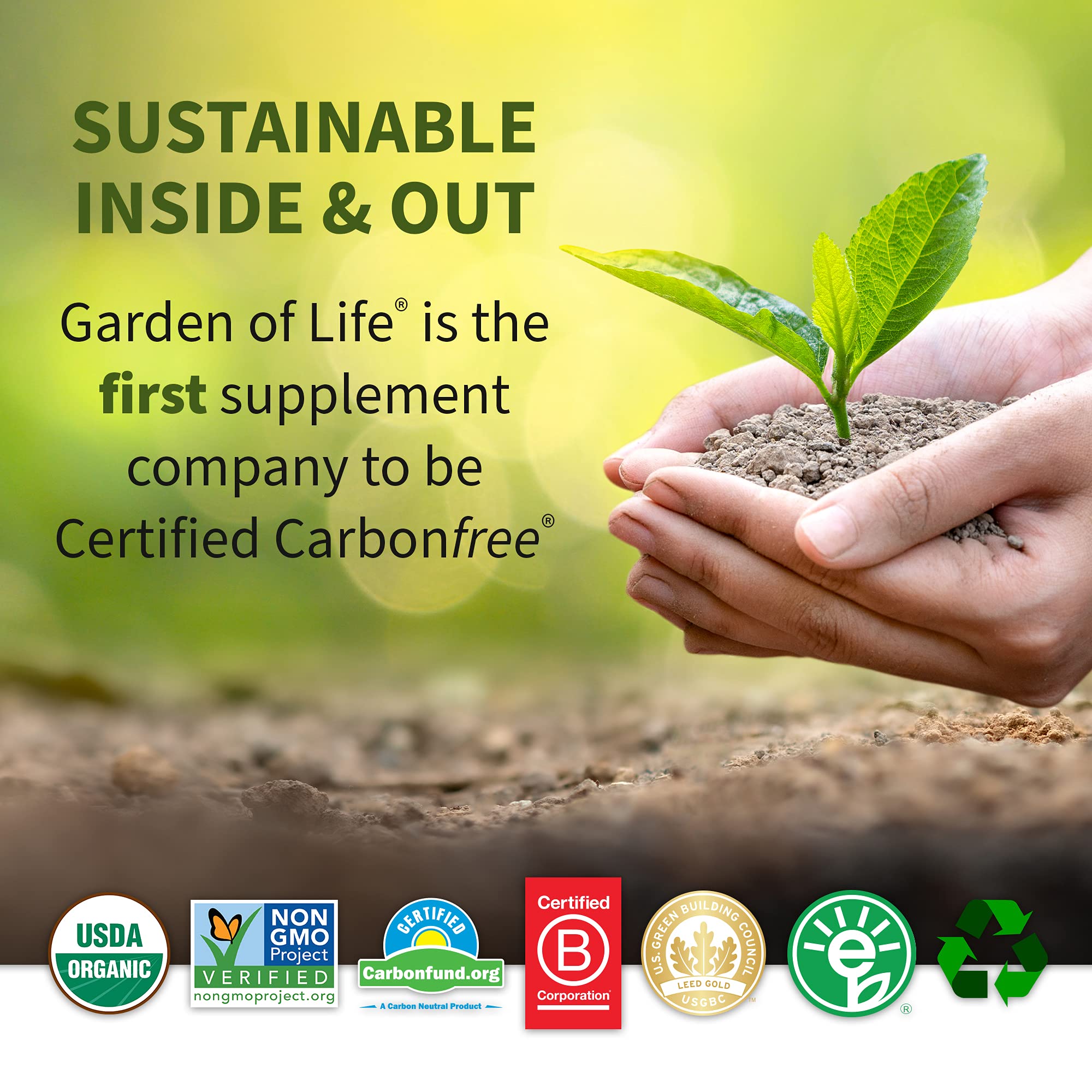Garden of Life Raw Organic Protein & Greens Vanilla - Vegan Protein Powder Garden of Life buy supplements canada