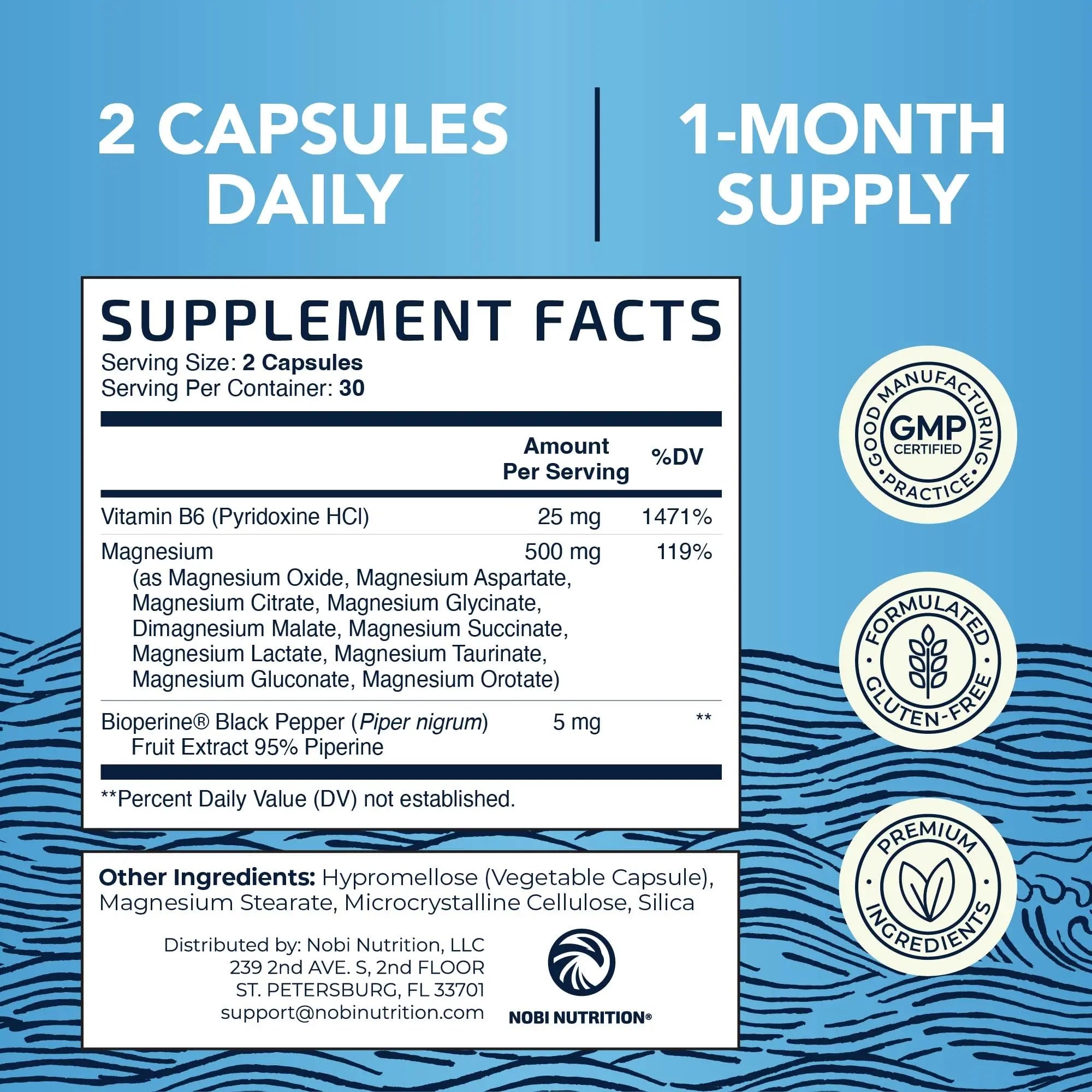 10 in 1 Magnesium Complex Supplement 500MG | Magnesium Citrate, Mag Glycinate, Malate & More | High Absorption Mag Complex with Vitamin B6 | Bone, Muscle & Heart Health Support | Non-GMO | 60 Ct. Nobi Nutrition buy supplements canada