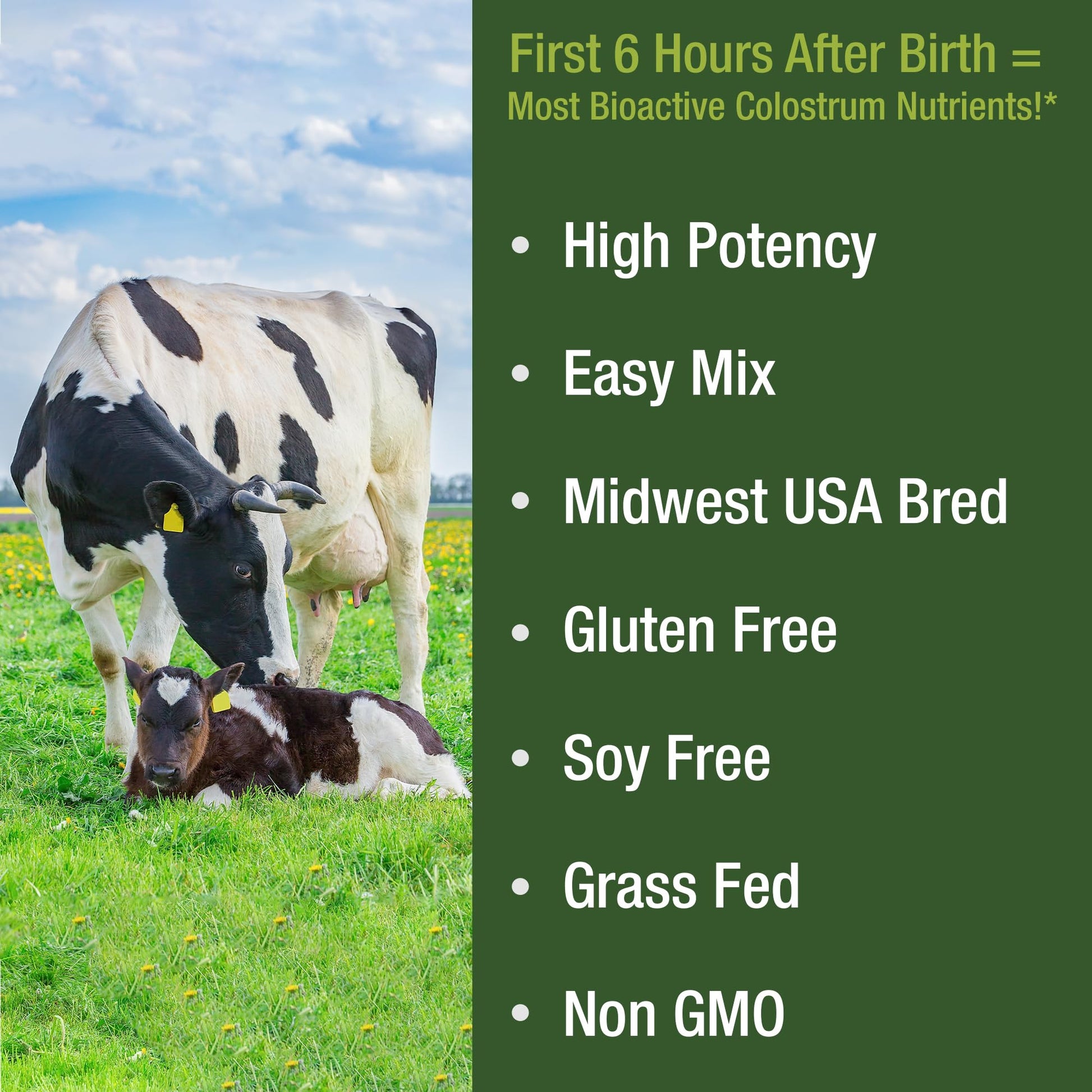 First Milking Colostrum Powder from Grass Fed USA Cows Milked Within 6 Hours of Giving Birth to Get the Most Bioactive Nutrients. High Immunoglobulin Non-GMO Bovine Colostrum Supplement for Humans Peak Performance buy supplements canada