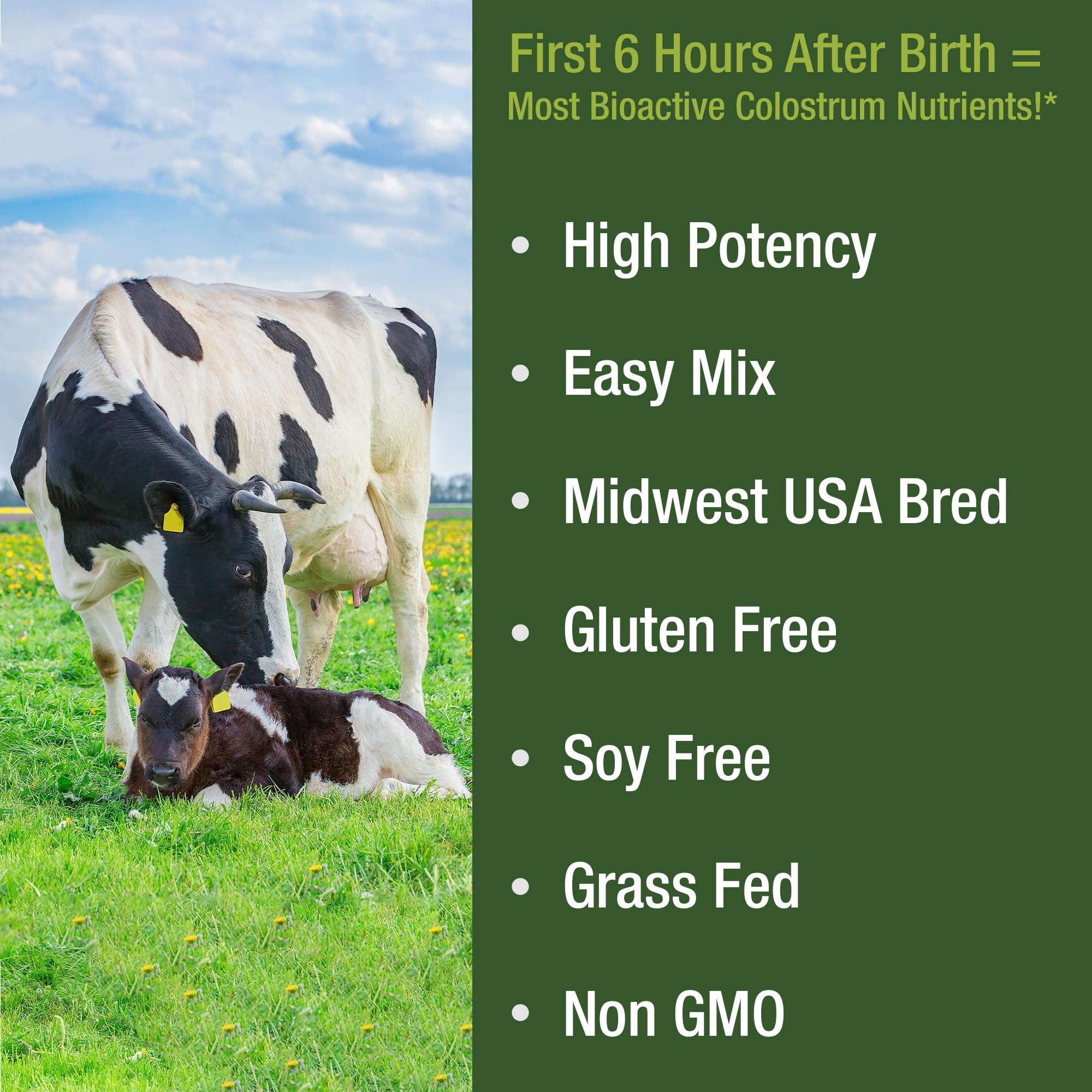 First Milking Colostrum Powder from Grass Fed USA Cows Milked Within 6 Hours of Giving Birth to Get the Most Bioactive Nutrients. High Immunoglobulin Non-GMO Bovine Colostrum Supplement for Humans Peak Performance buy supplements canada