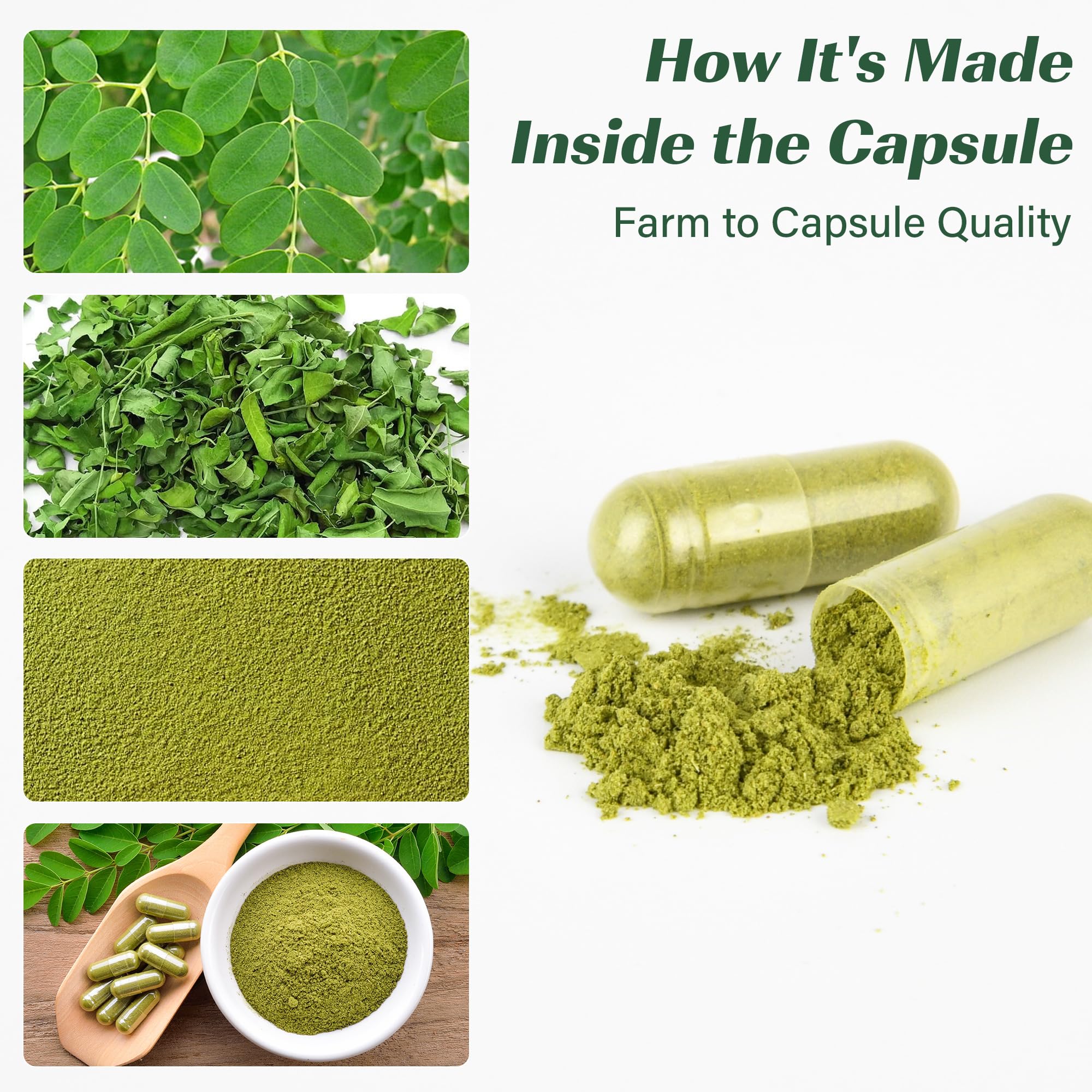 Moringa Capsules, Moringa Pure Capsules For Energy, Immune Support, Gut Health & Powerful Green Superfood, Rich In Antioxidants, Essential Vitamins & Amino Acids MEDI BOTIC buy supplements canada