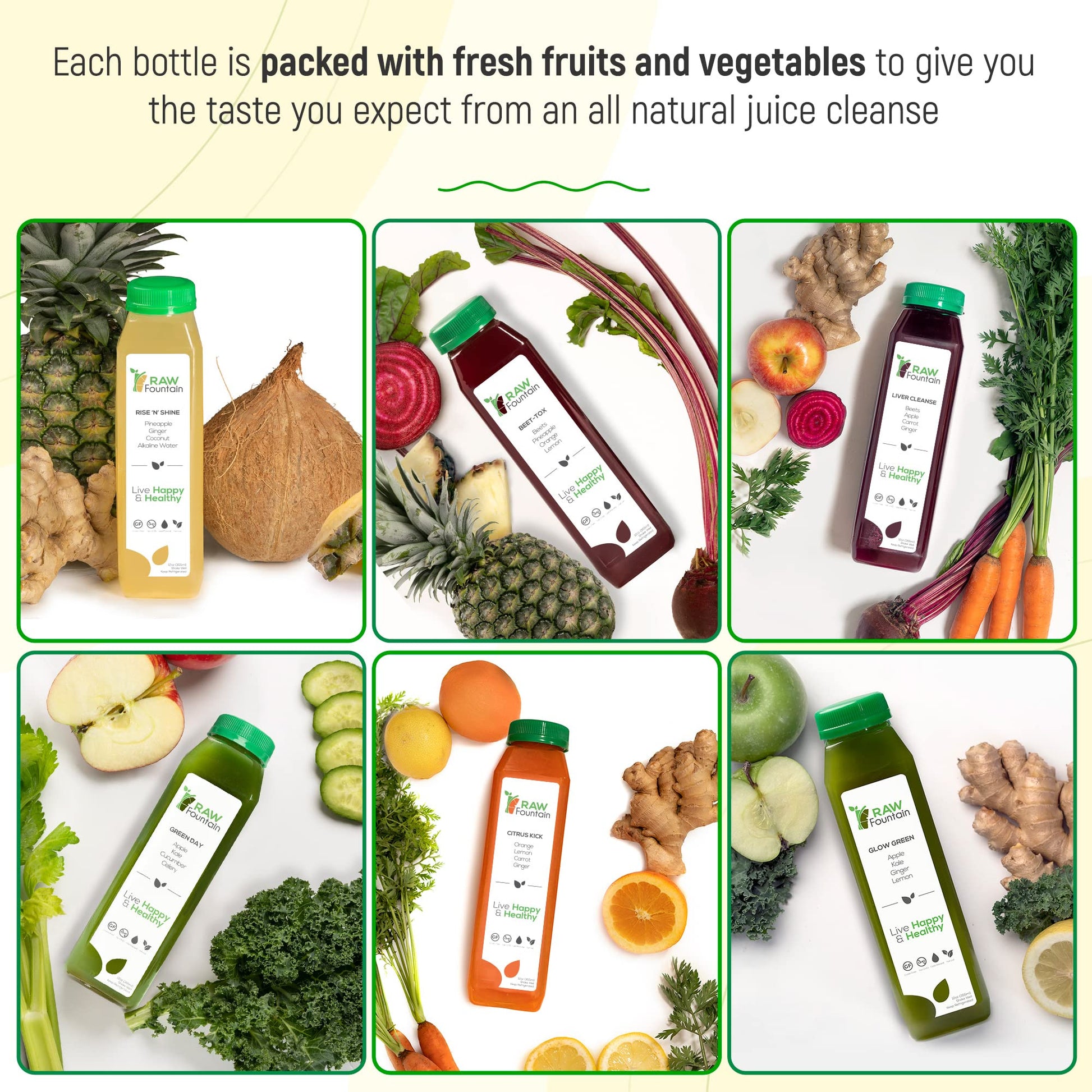 Raw Fountain 1 Day Juice Cleanse, All Natural Detox Cleanse, Cold Presssed Fruit Raw Fountain buy supplements canada