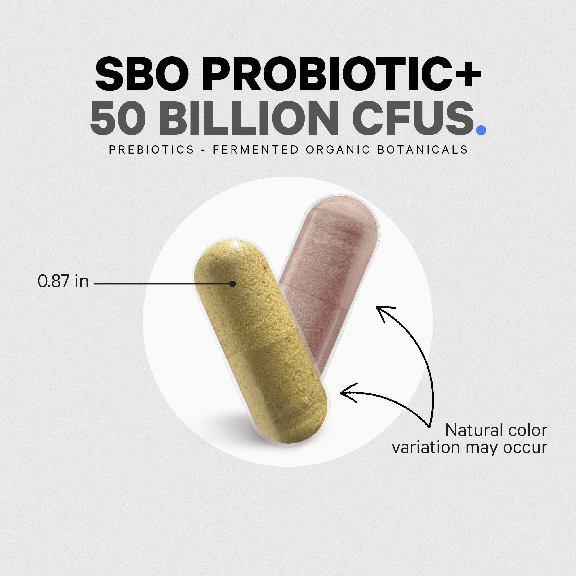 Codeage SBO Probiotics, 50 Billion CFUs Per Serving, Multi Strain Soil Based Organisms Blend and Organic Fermented Botanical Blend, Shelf-Stable, 90 Capsules Codeage buy supplements canada