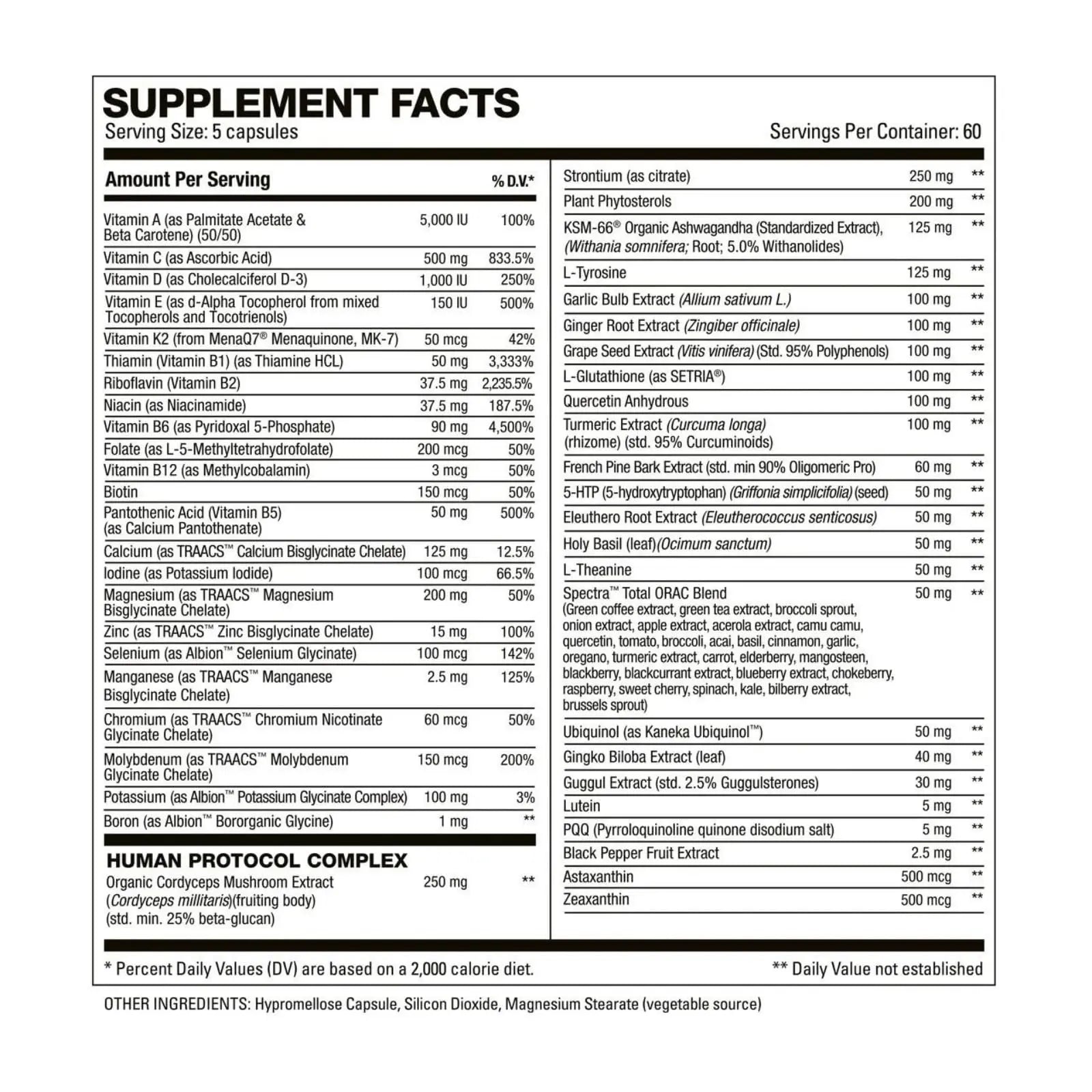 HD MUSCLE VitaHD Essential Multivitamin | Athlete-Specific Vitamins, Minerals, & Nutrients | Organic Mushroom Blend HD MUSCLE buy supplements canada