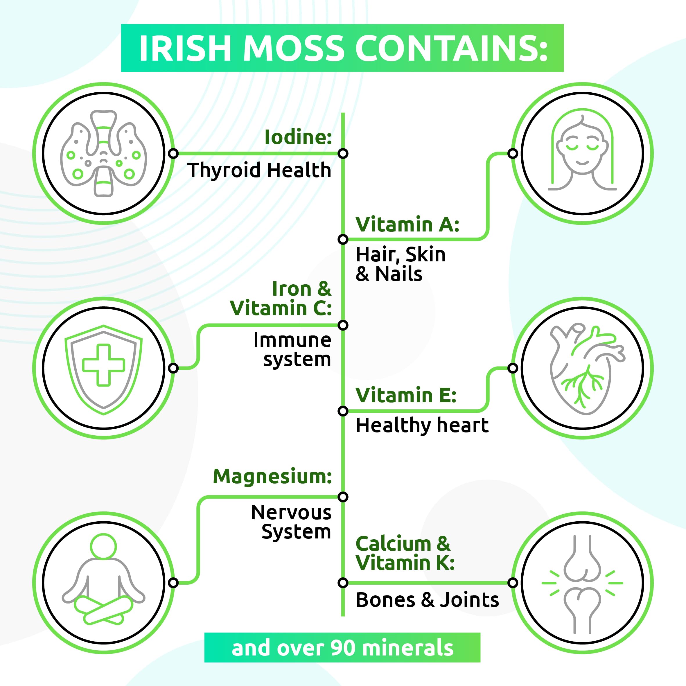 TrueSeaMoss Wildcrafted Irish Sea Moss Gel – Nutritious Organic Raw Seamoss Rich TrueSeaMoss buy supplements canada