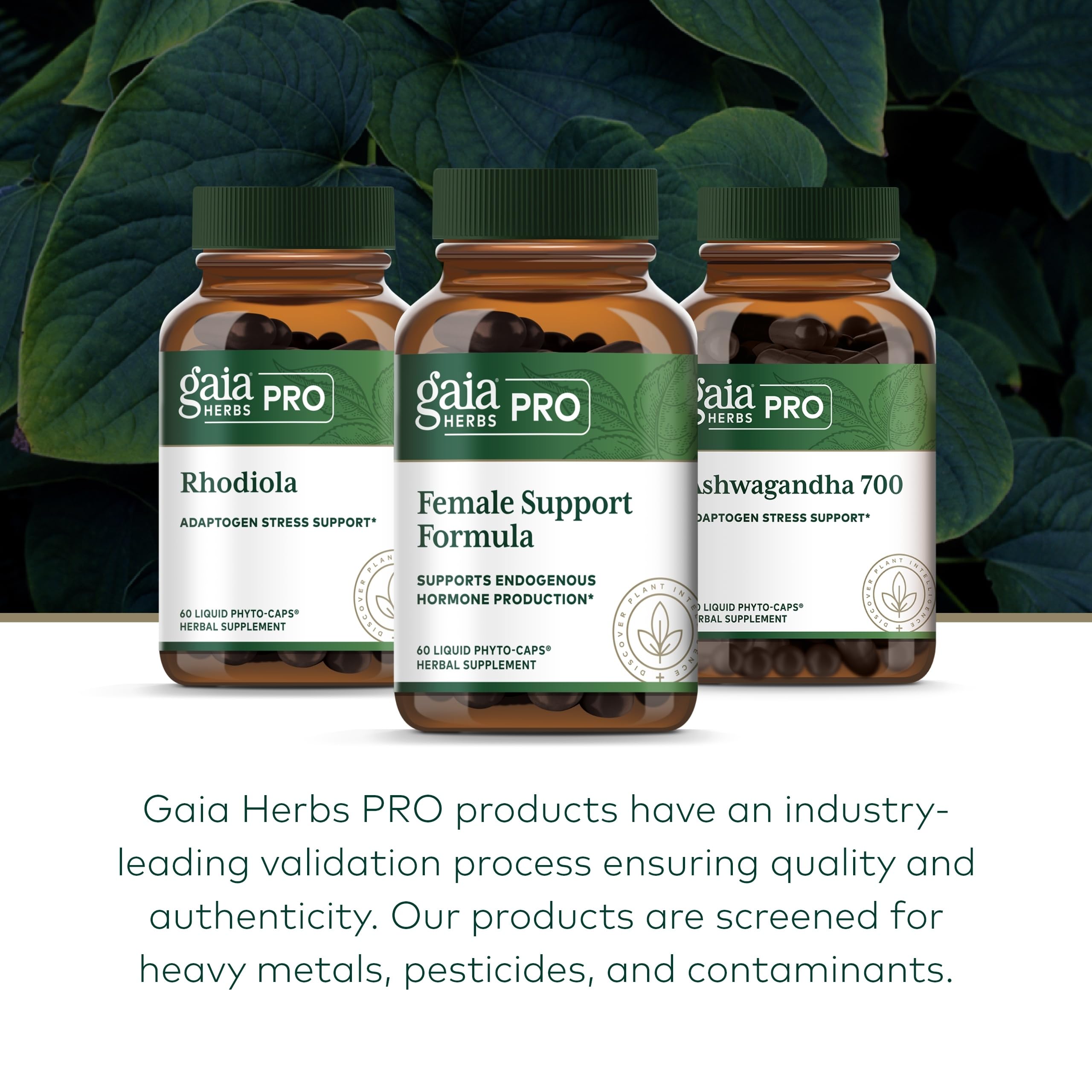 GAIA HERBS PRO Female Support Formula - Supports Healthy PMS & Menopause Fluctuations with Alfalfa Leaf, Black Cohosh Root Extract, Dandelion Root & More* - Vegan - 60 Liquid Phyto-Caps (60 Servings) Gaia Herbs PRO buy supplements canada